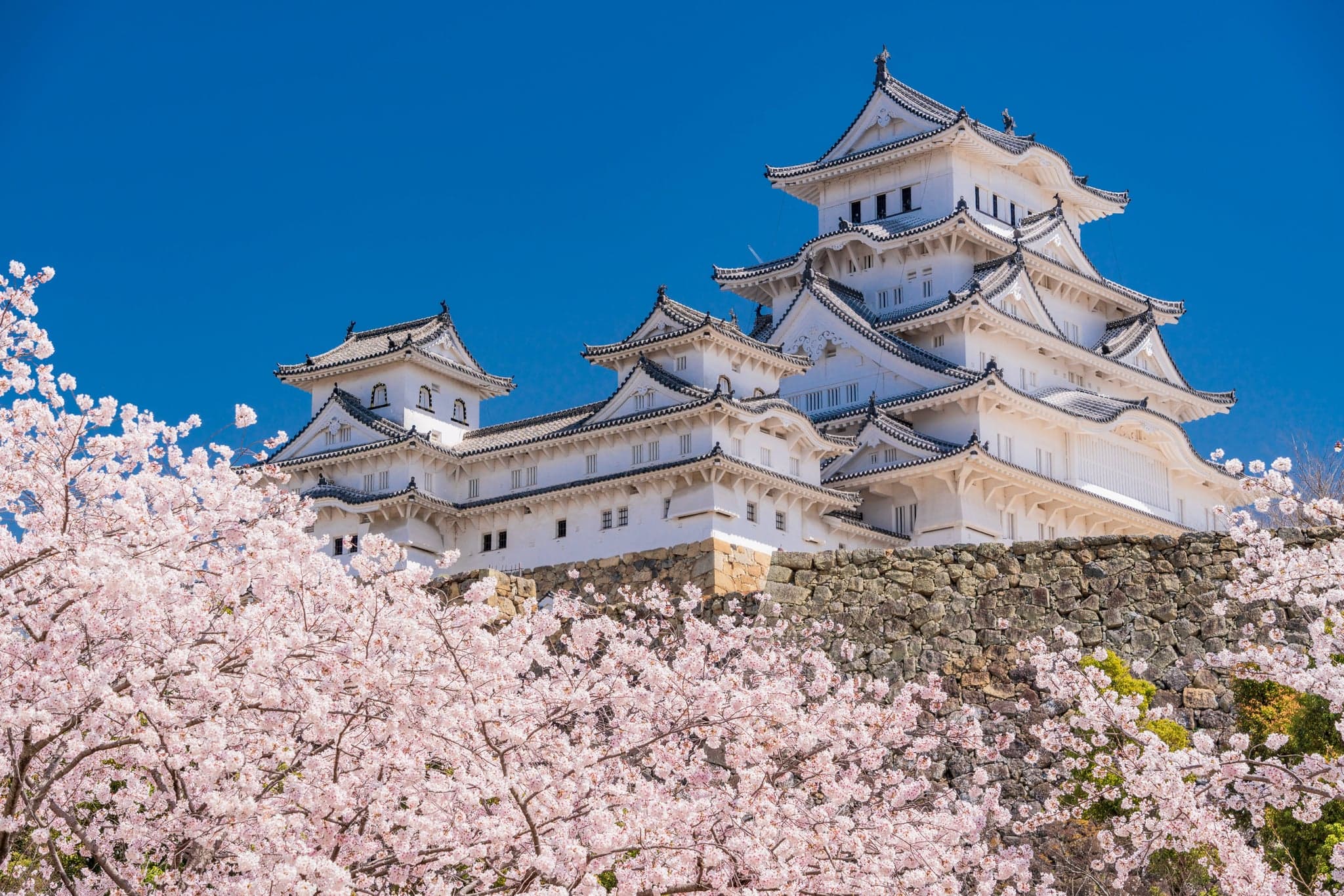 Japan Travel Guide 2026: First-Timer's Complete Checklist (Start Here)