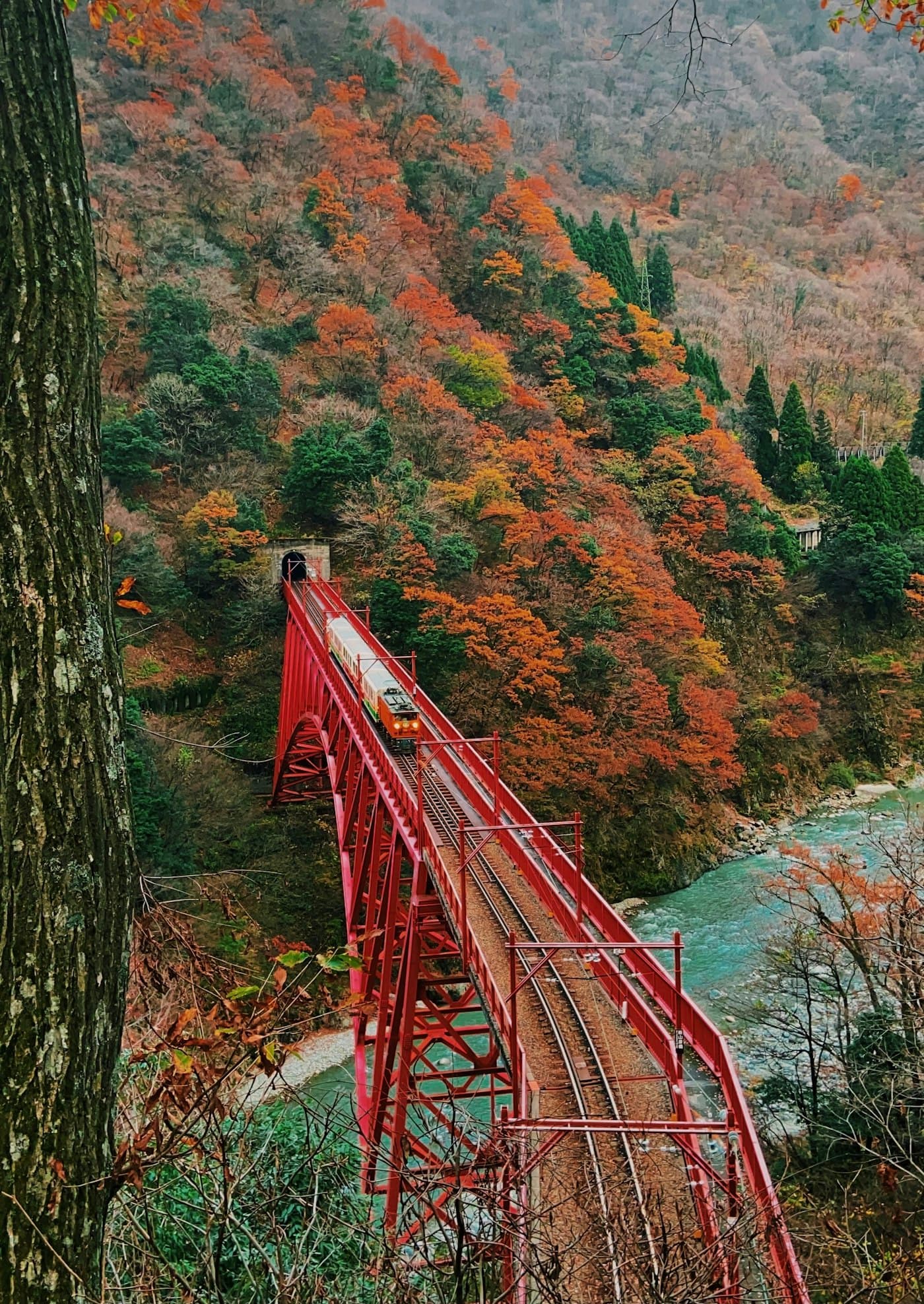 Autumn foliage along the Tateyama Kurobe Alpine Route in the Japanese Alps