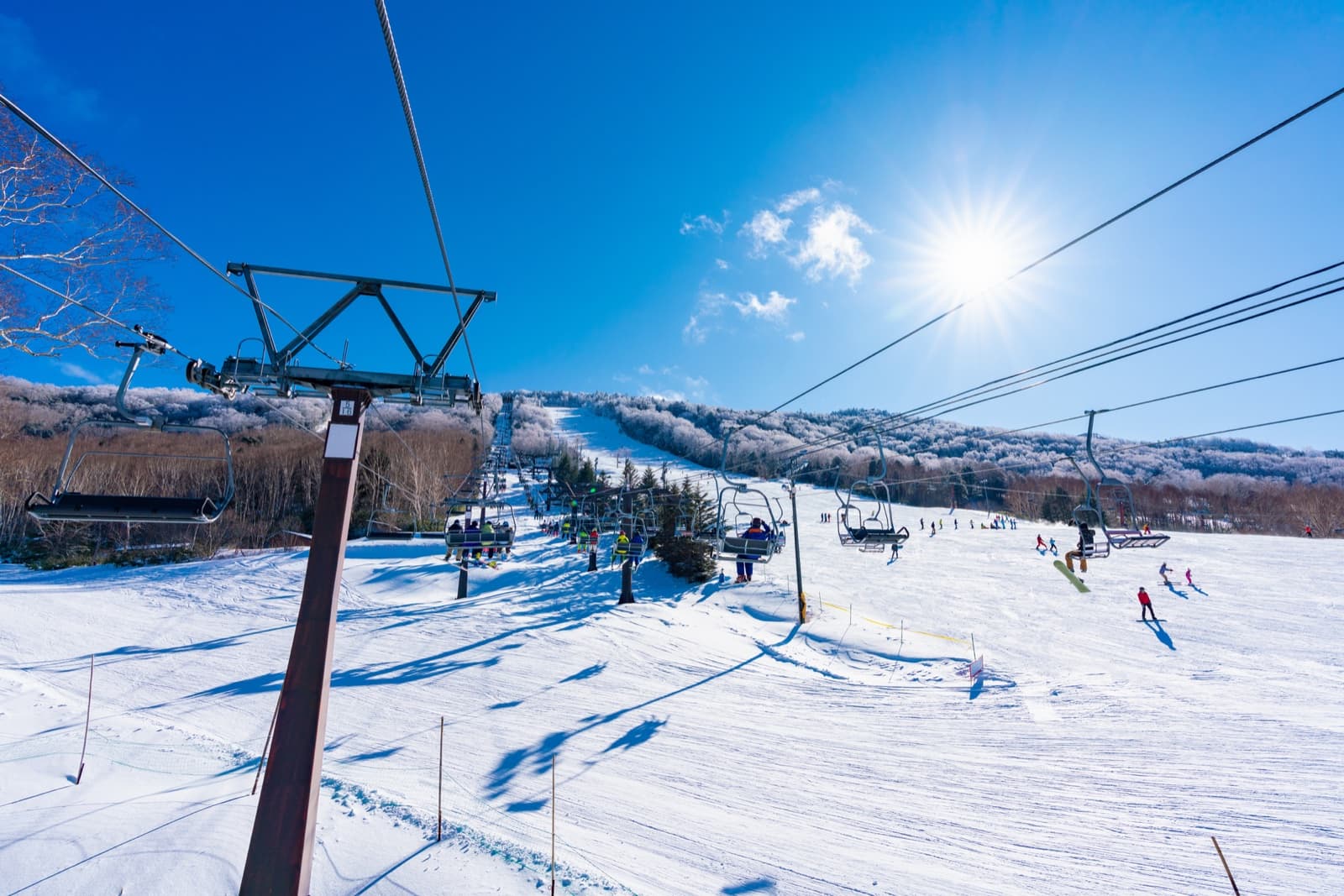 Chairlifts carrying skiers up a sunny groomed slope at Shiga Kogen under a clear blue sky