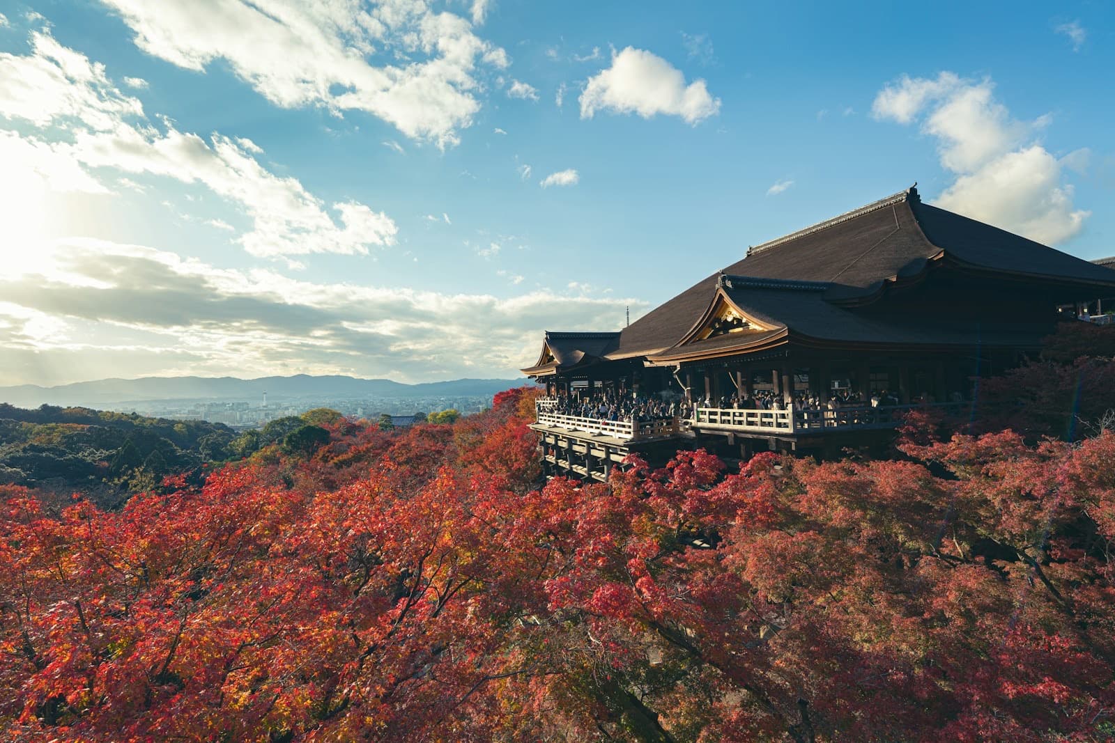 Best Places to See Autumn Leaves in Japan: A Self-Guided Traveler's Guide for 2026