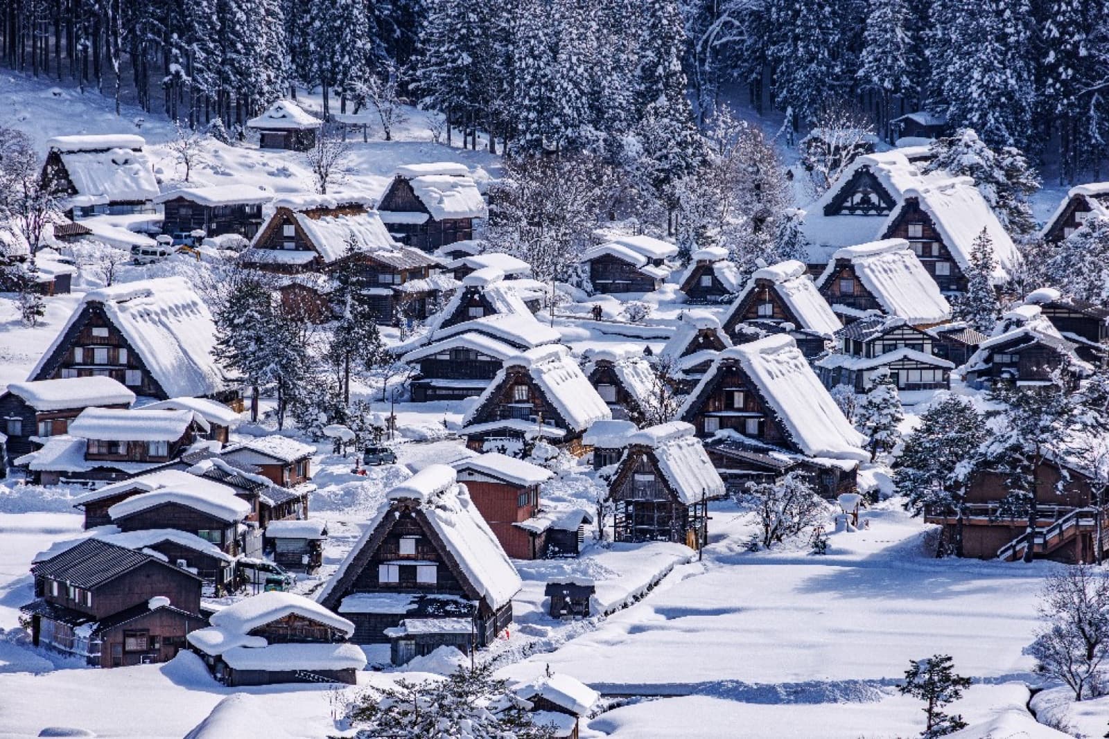 Gassho-zukuri thatched-roof houses blanketed in deep snow at Shirakawa-go in winter