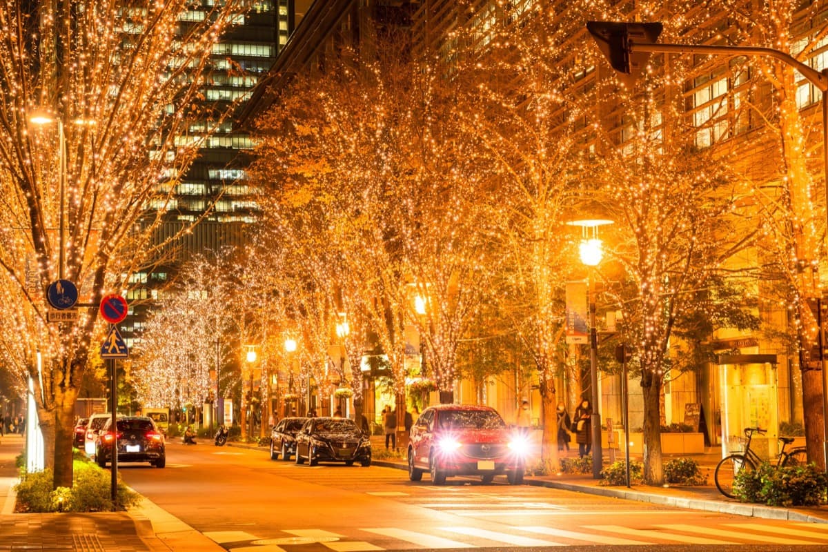 Street trees wrapped in warm gold lights along Marunouchi Naka-dori at night, with office towers behind