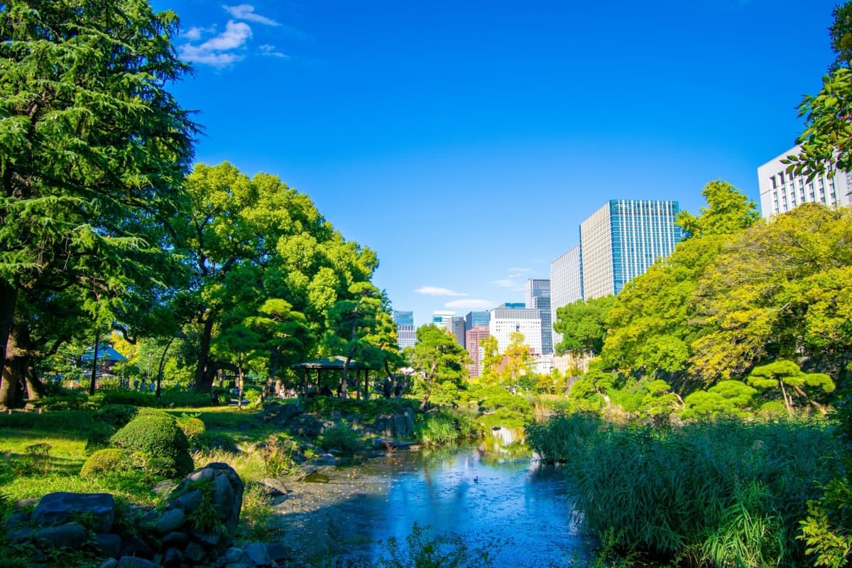 A Japanese garden pond in a central Tokyo park in October, still green, with the Marunouchi office towers rising behind it under a clear blue sky