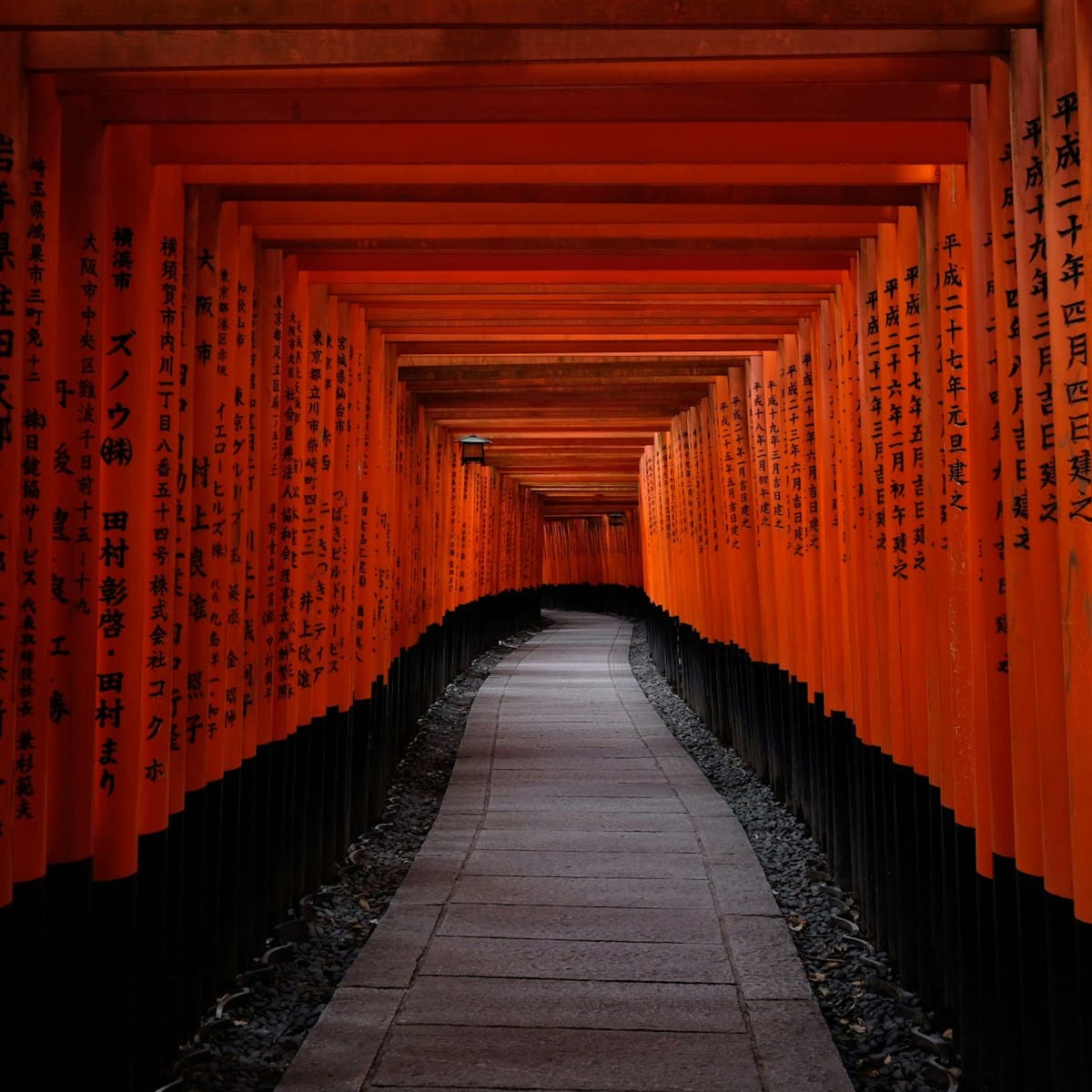 Ein menschenleerer Weg unter den orangefarbenen Torii des Fushimi-Inari-Schreins in Kyoto im Morgengrauen