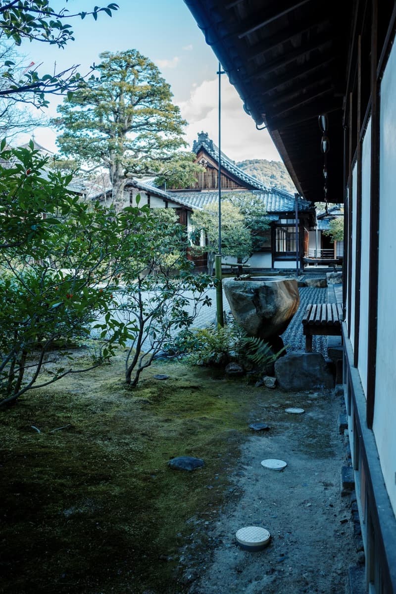 Ein traditioneller Moosgarten eines Tempels in Kyoto mit einem nach dem Regen grün glänzenden Steinweg