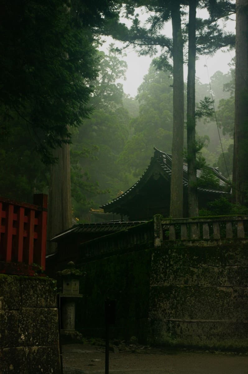 Ein japanischer Tempel zwischen nebelverhangenen Zedern und moosbedeckten Steinen bei Nikko