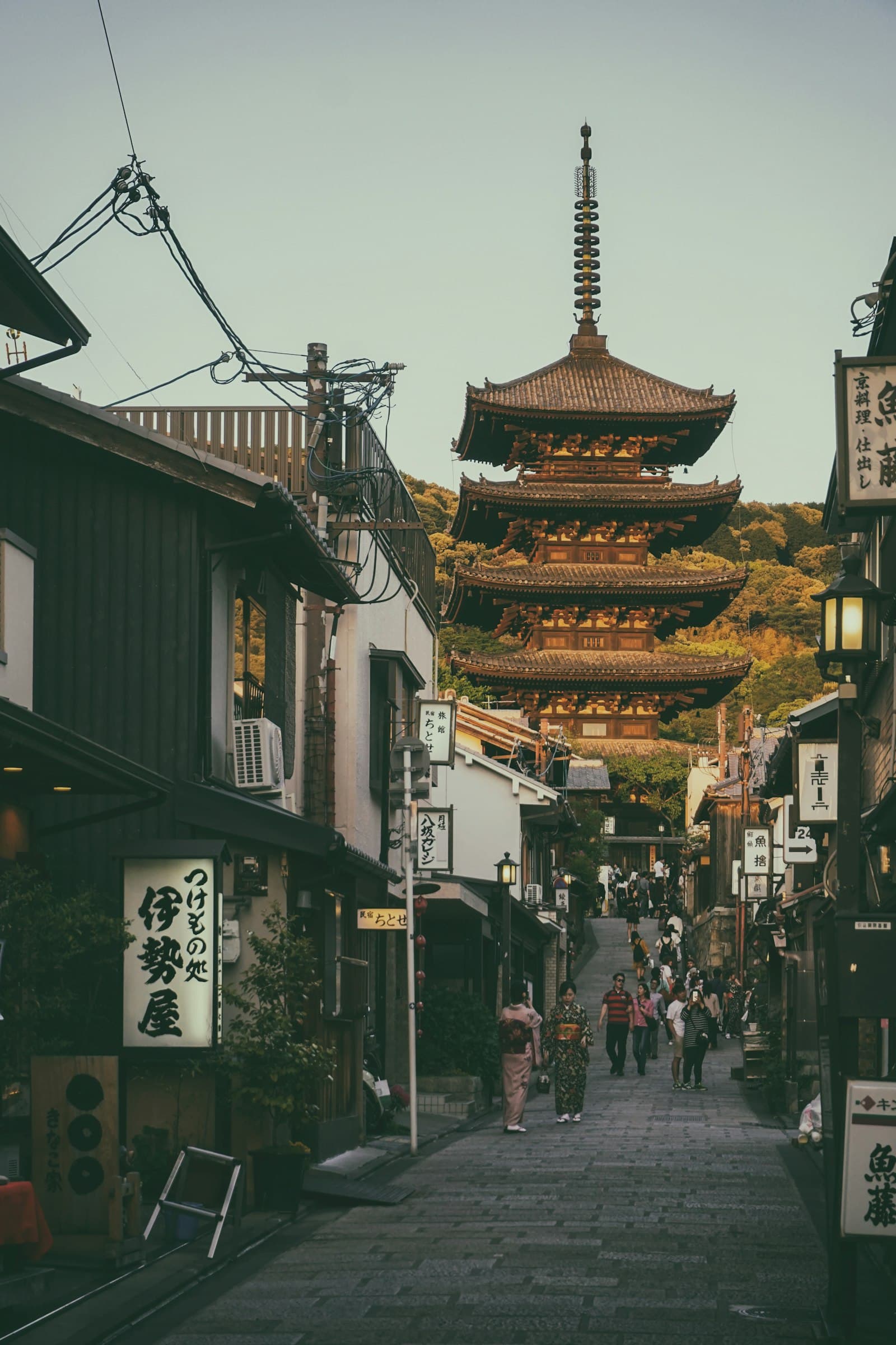 Japan Tourist Rules 2026: New Fees, Fines & What Changed