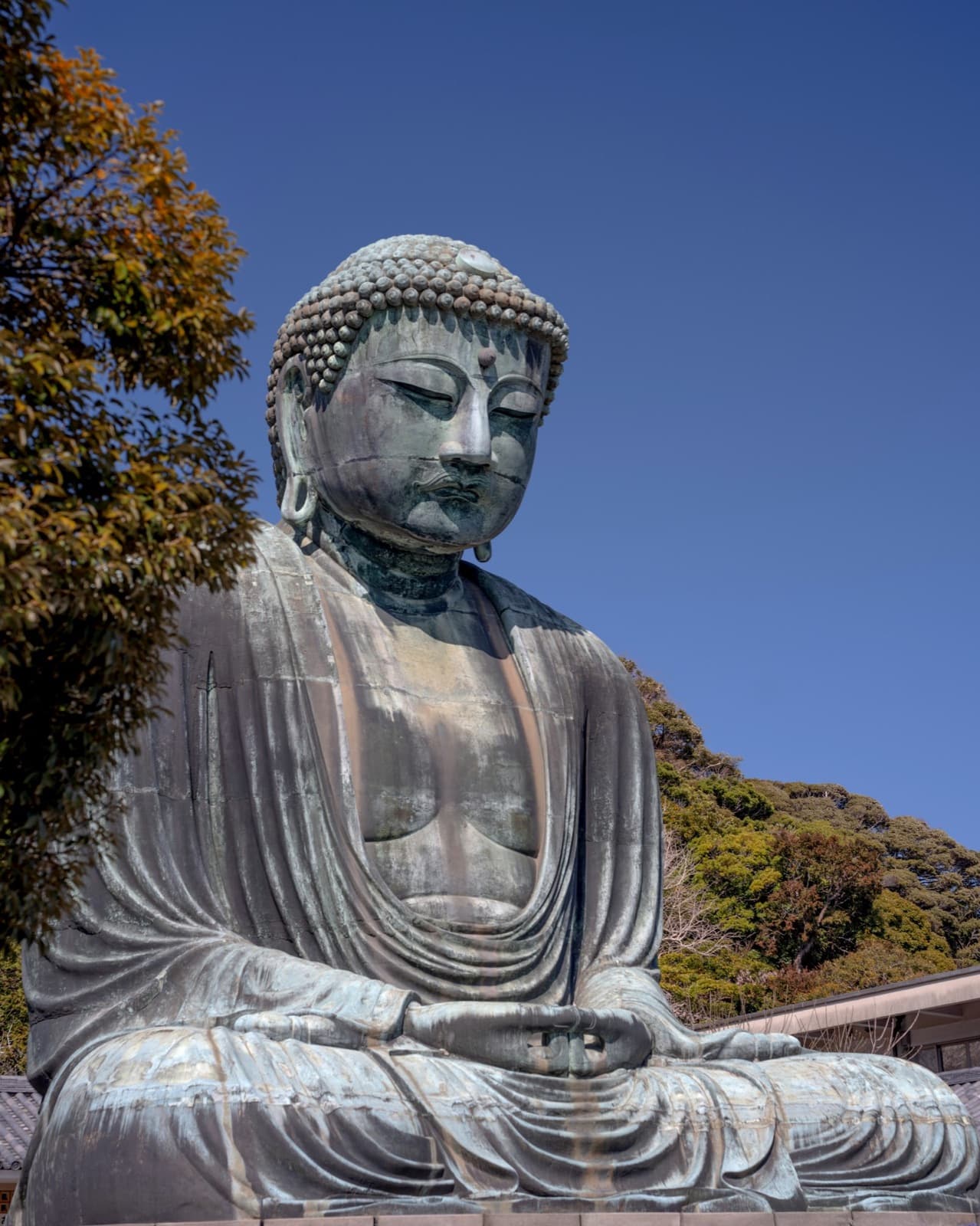 Kamakura Day Trip from Tokyo 2026: Great Buddha + Beach Walk