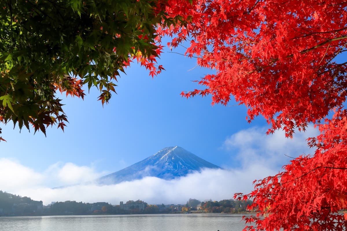 Mount Fuji seen across Lake Kawaguchi framed by bright red maple leaves in autumn
