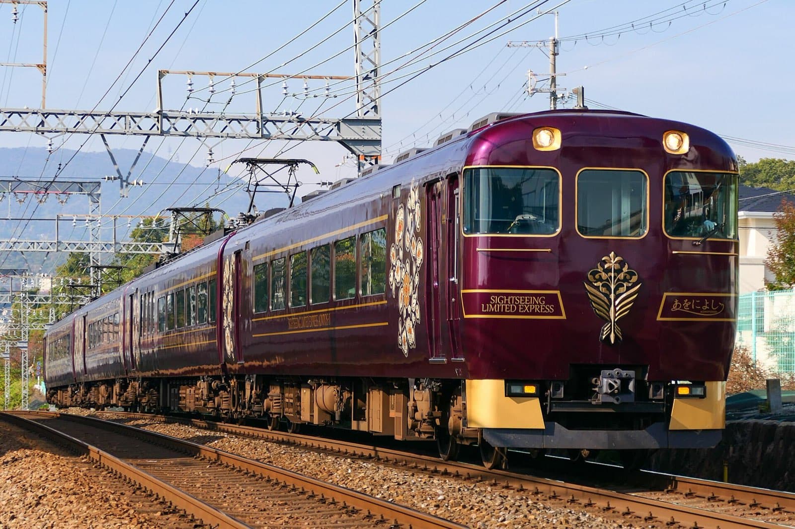 Kintetsu Rail Pass: Prices, the Aoniyoshi and Kintetsu's Sightseeing Trains