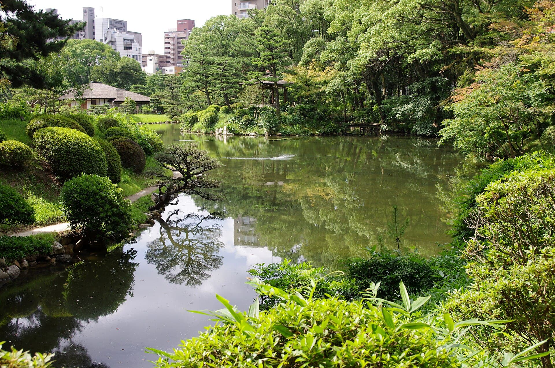 A still green pond in Shukkeien Garden reflecting pine trees and clipped shrubs, with a teahouse roof among the trees