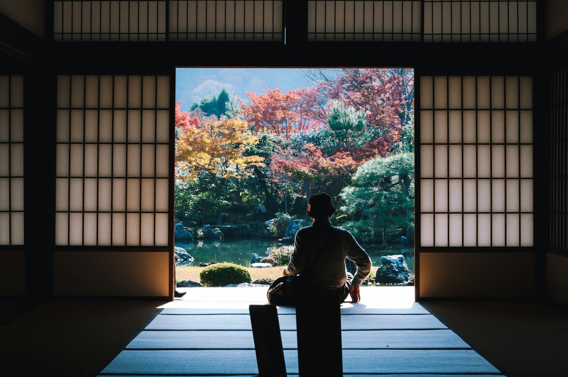 Cherry blossoms in full bloom at Japanese temple
