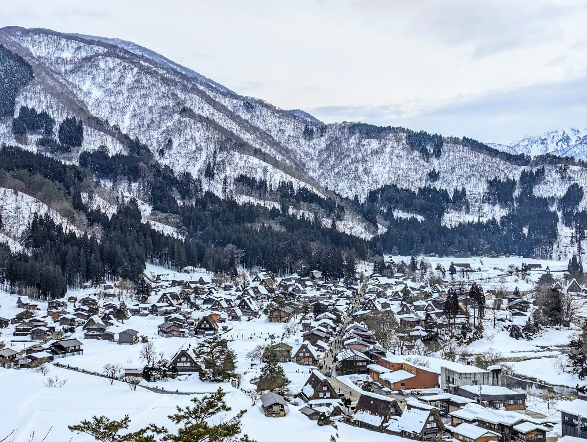 Winter in Japan 2026: A Practical Guide to Planning a Self-Guided Trip