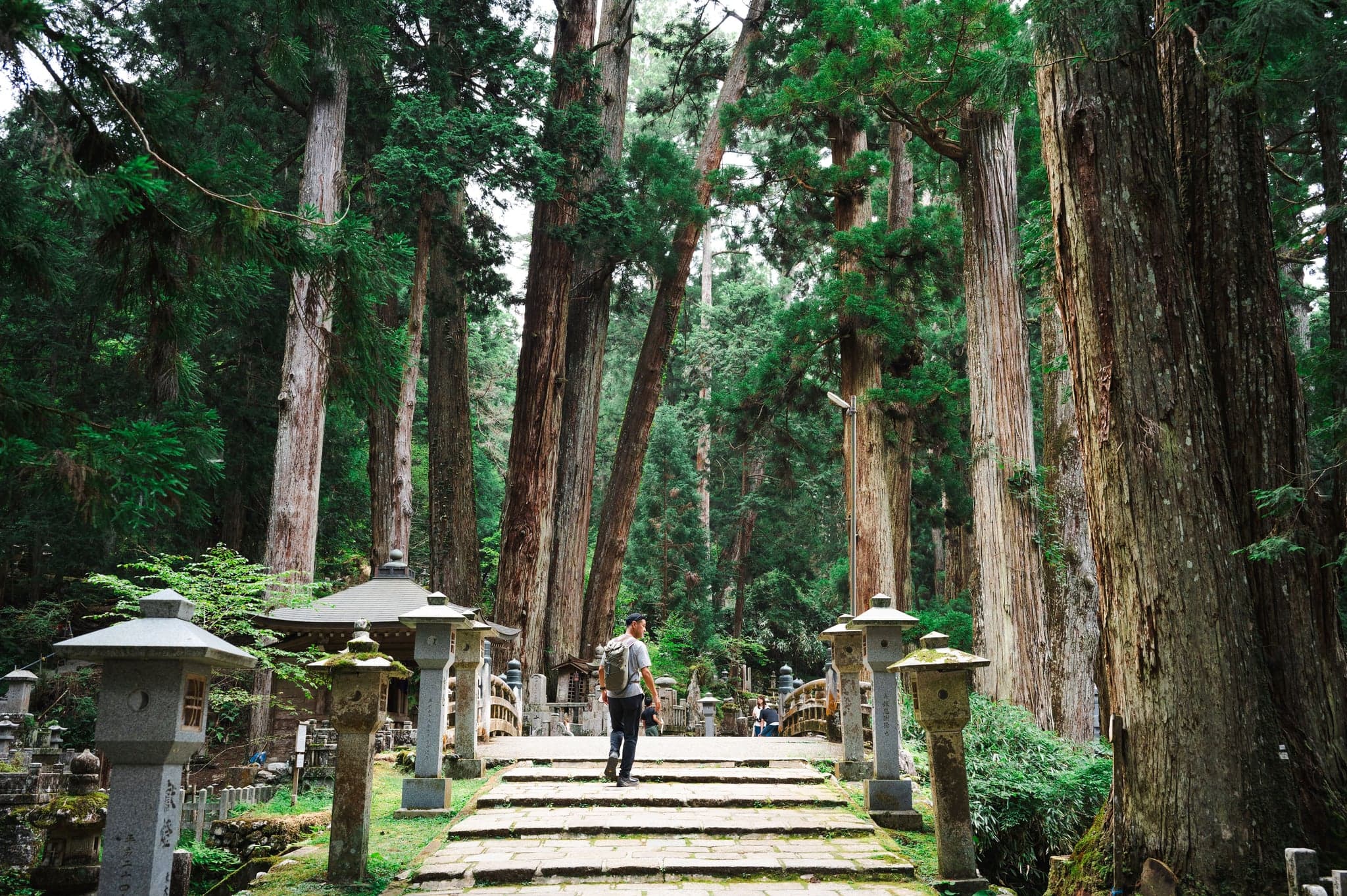 Japan Solo Tours: A Practical Guide to a Self-Guided Trip for One