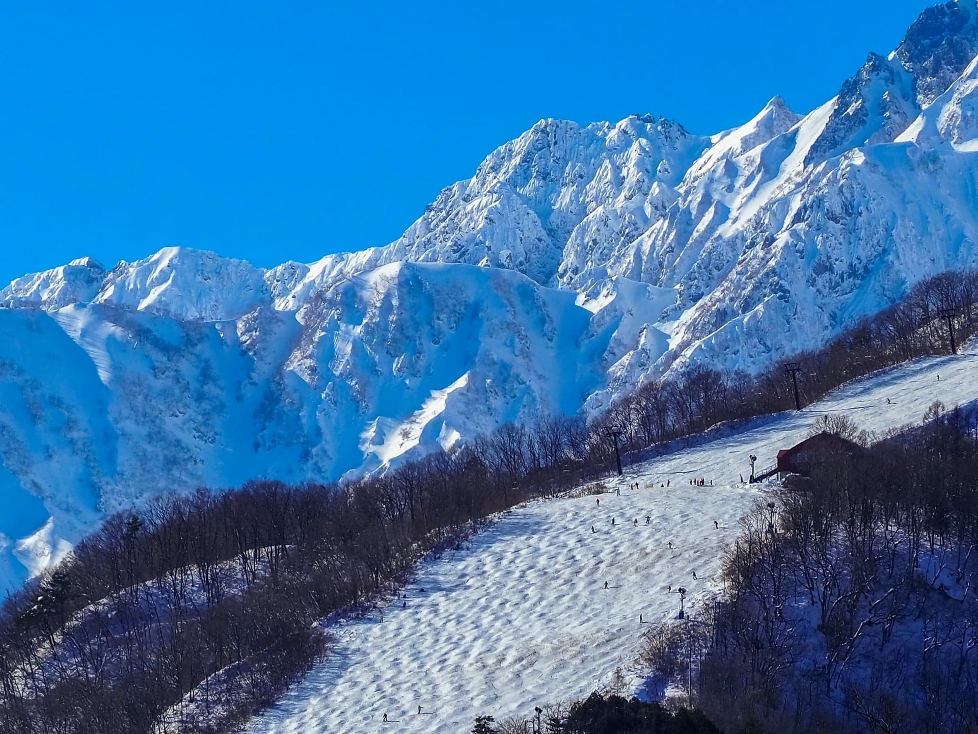 Japan Ski Packages: Real Prices, What's Included, and Which Trip Actually Fits