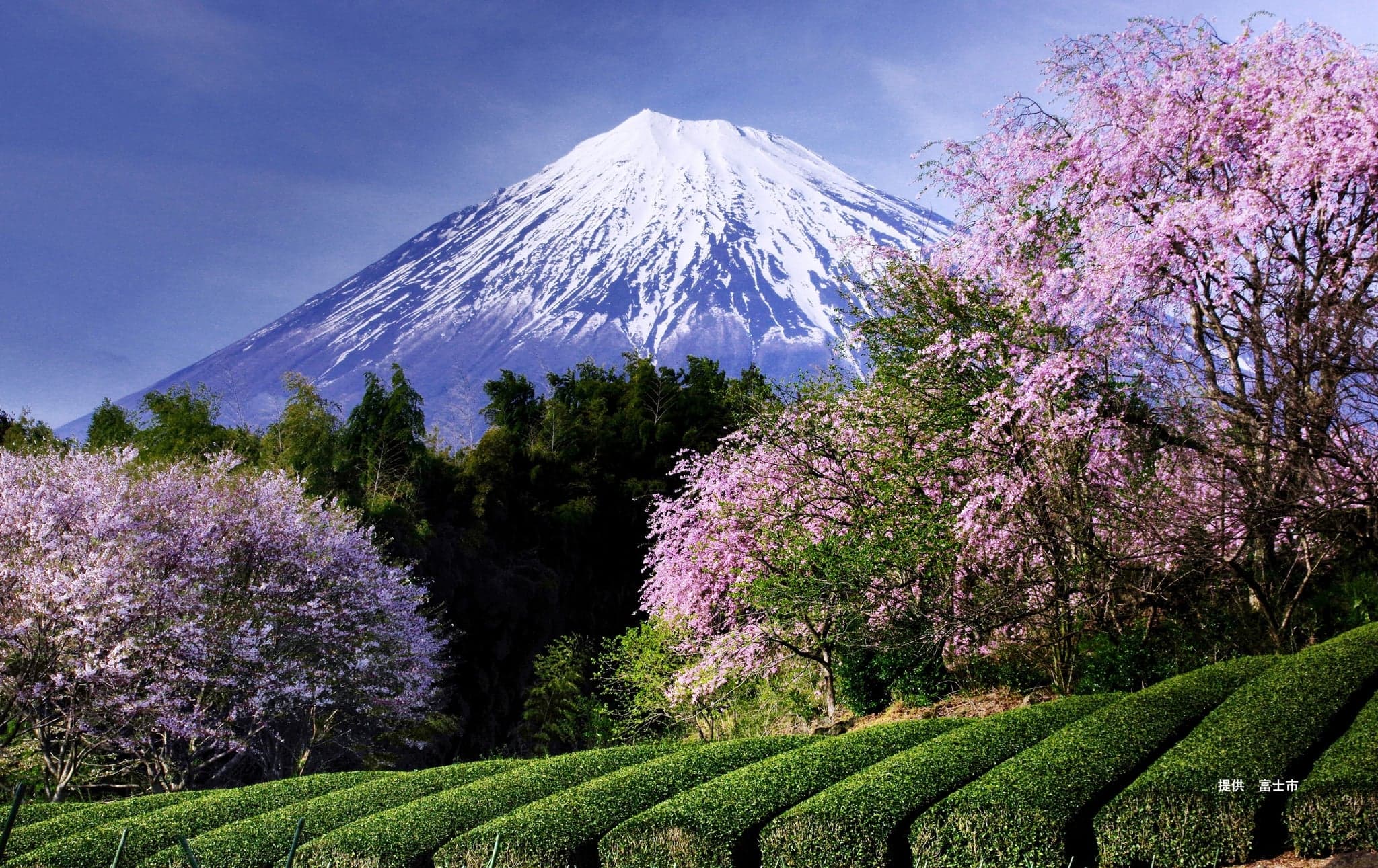 Nature & Outdoors in Japan