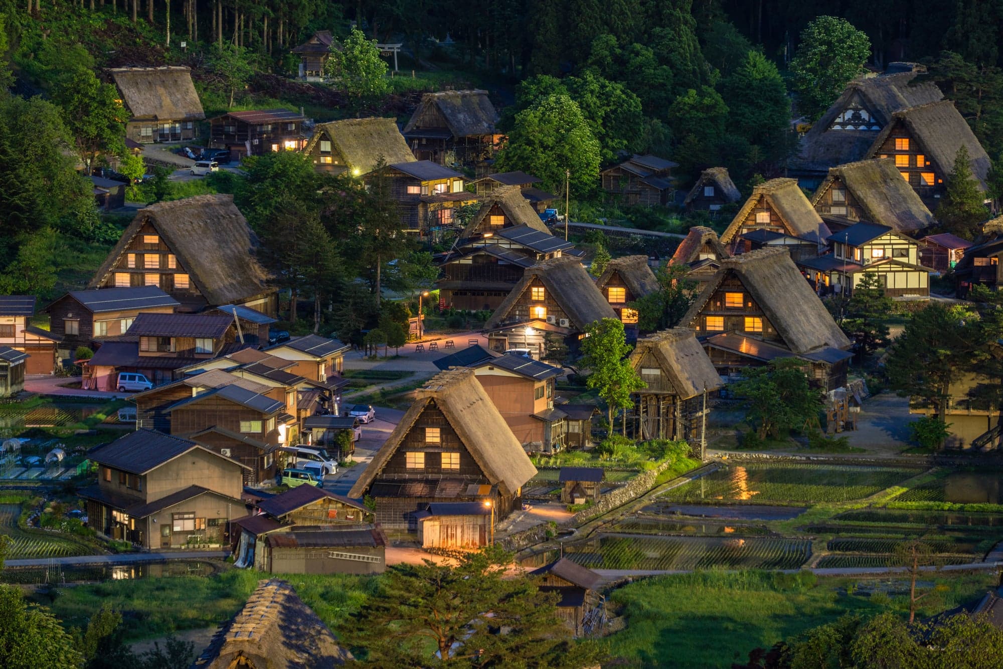 Warm light glowing from the windows of thatched gassho-zukuri farmhouses in Shirakawa-go at dusk, with rice paddies in front