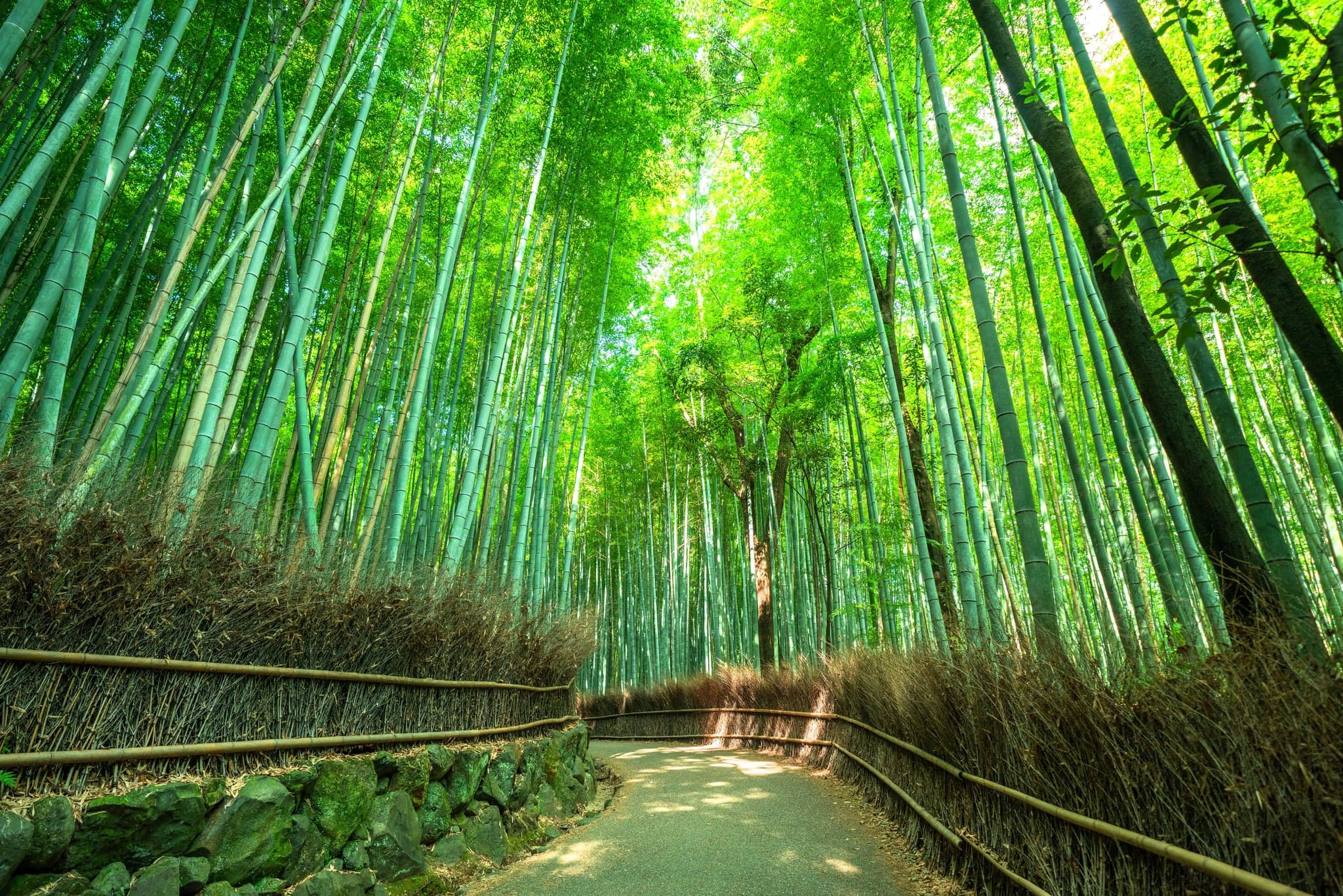 Arashiyama
