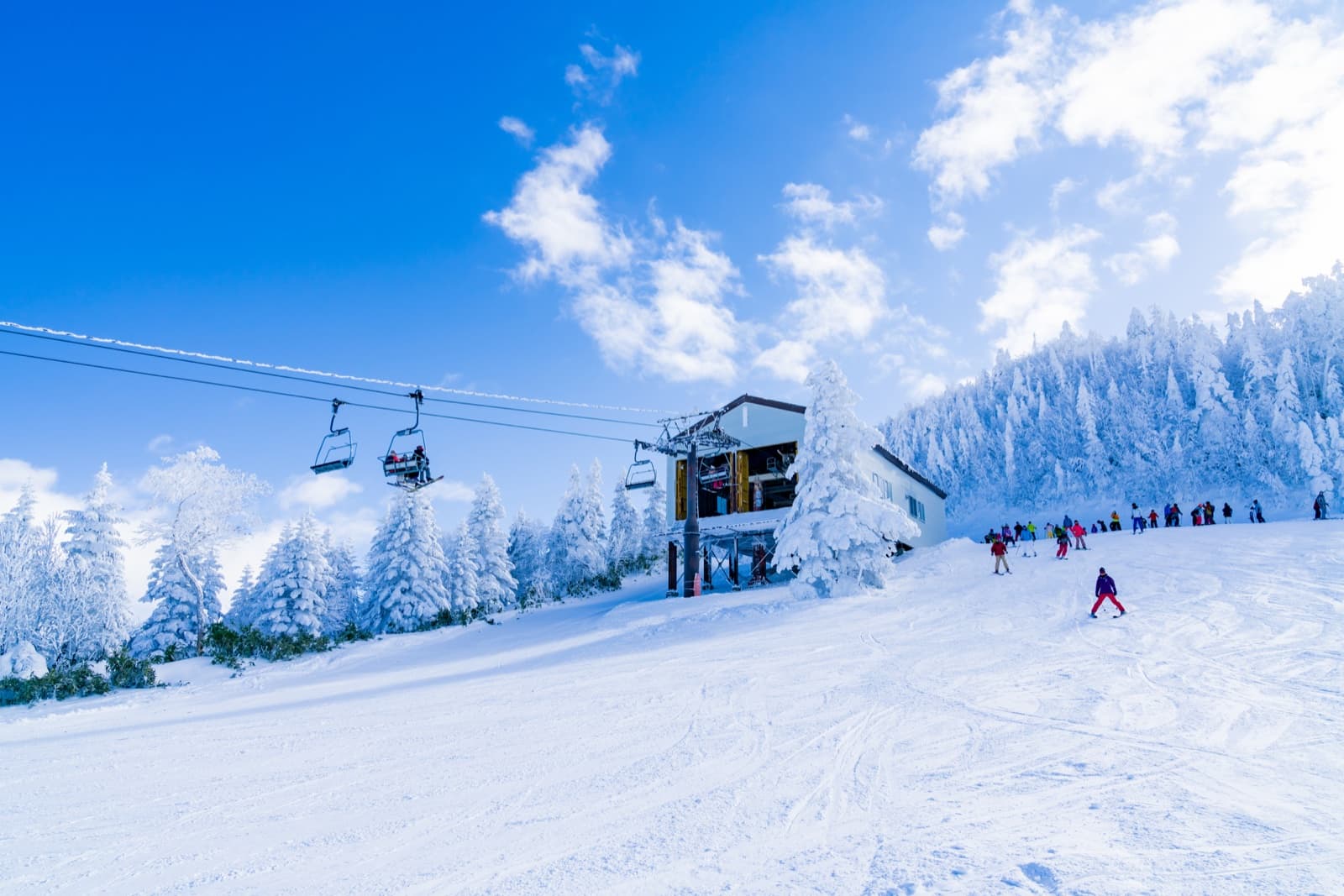 The Best Ski Resorts in Japan: A Practical Guide for Self-Guided Winter Trips