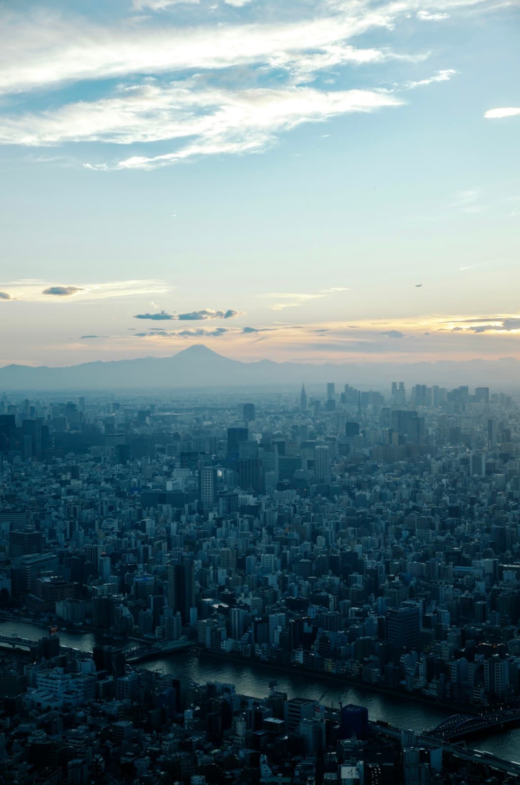 Best Time to Visit Tokyo 2026: Month-by-Month Weather & Crowds