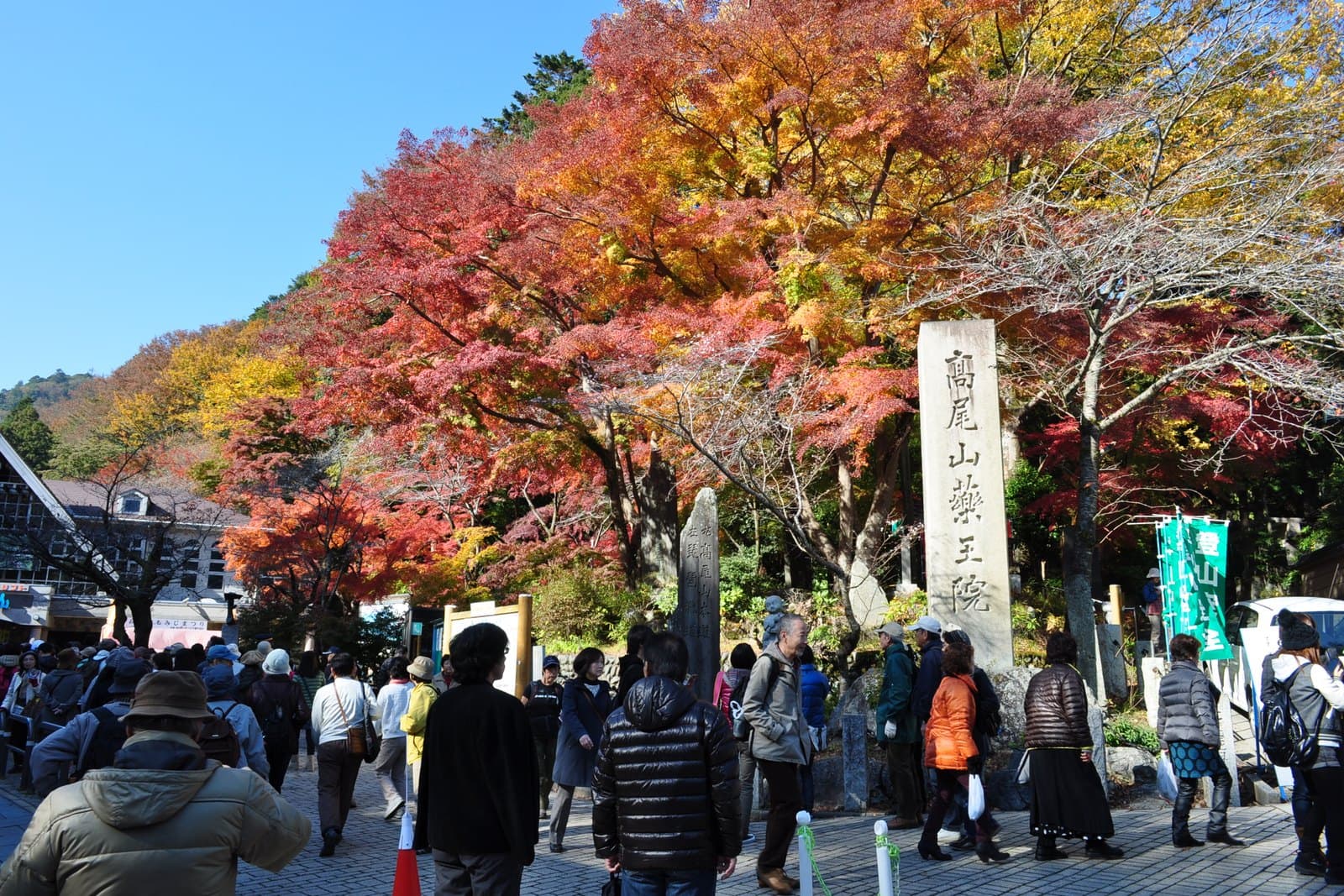 Visitantes bajo los arces otoñales al pie del monte Takao