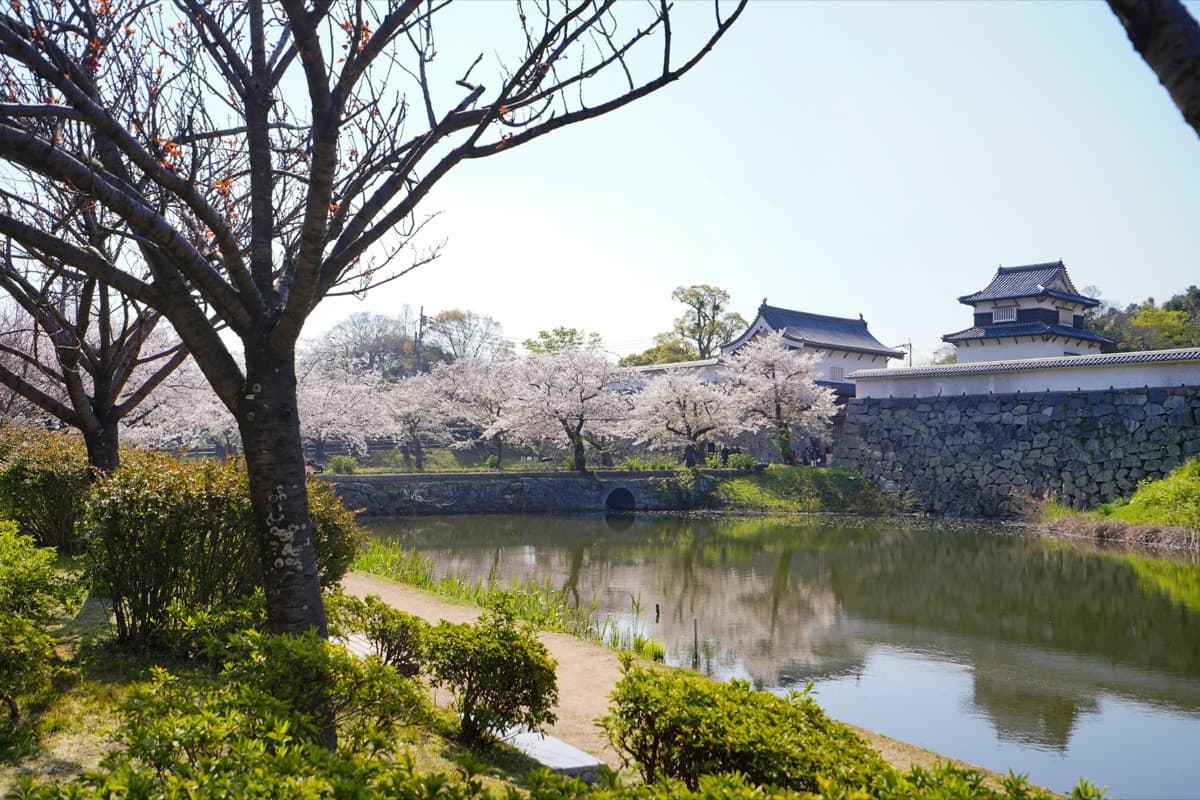 A white-walled turret of the Fukuoka Castle ruins above a moat, with cherry trees in bloom along the bank