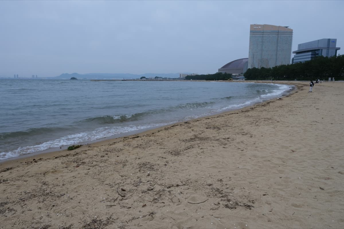 The sandy beach at Momochi with calm water and waterfront buildings in the distance