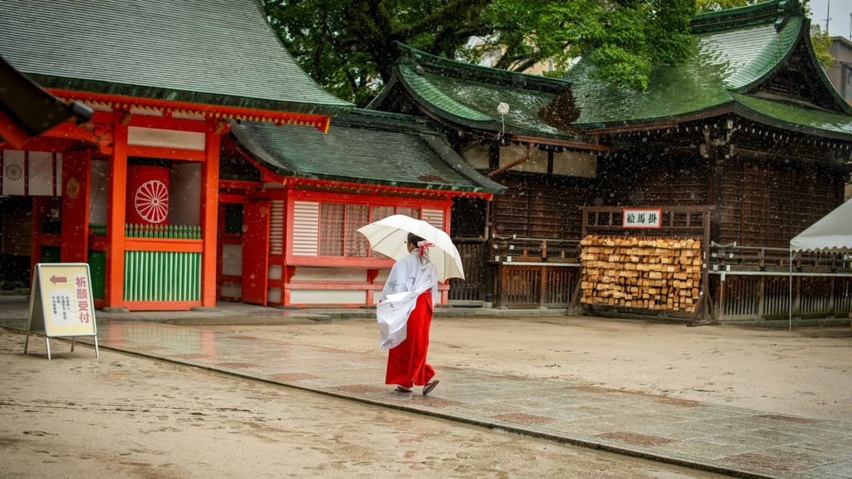 A shrine maiden in red and white carrying a clear umbrella across a wet shrine courtyard in Fukuoka