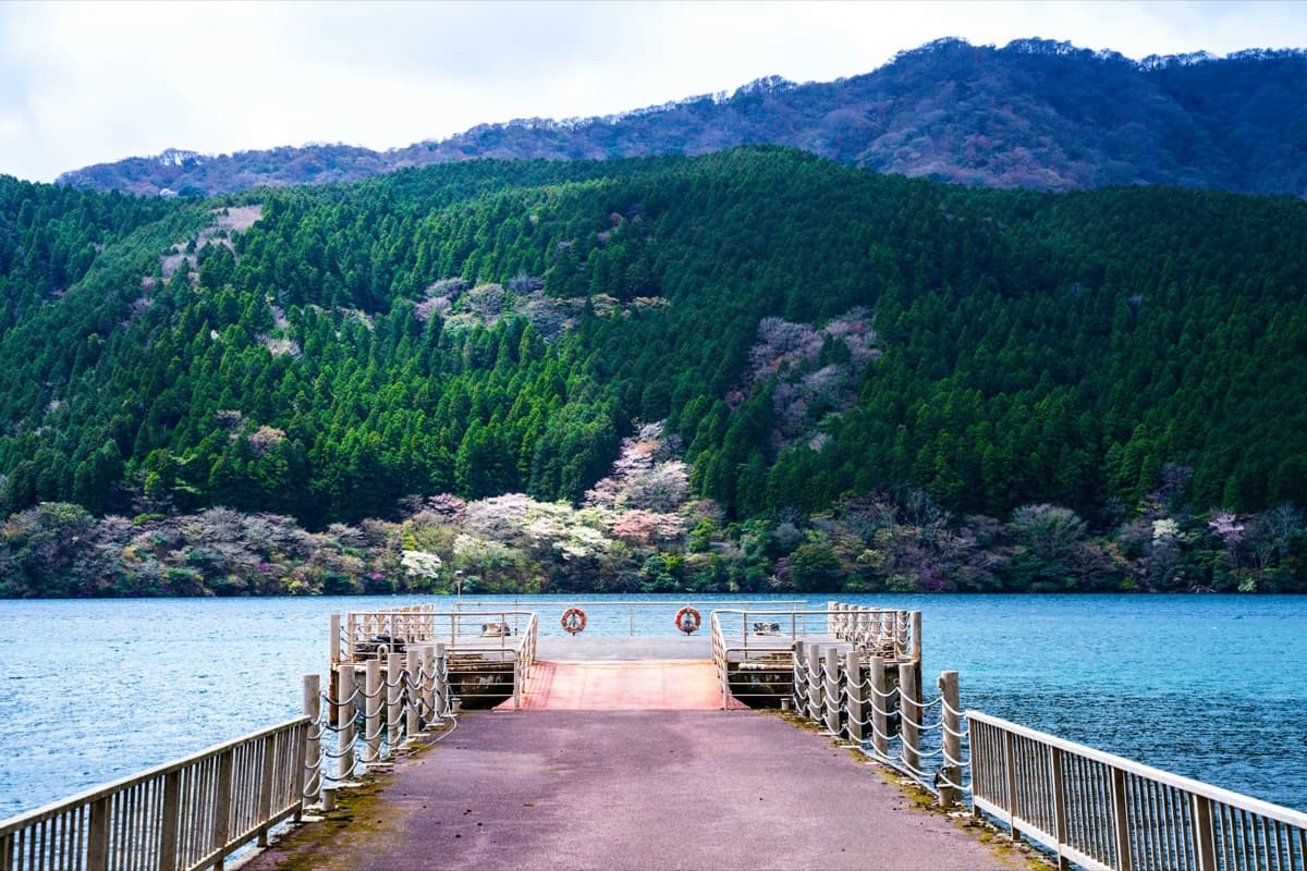 A wooden pier on Lake Ashi in Hakone with cherry blossoms dotting the wooded hillside across the water