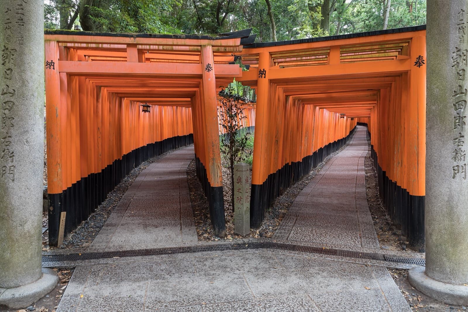 Is Kyoto Safe to Visit in 2026? YES — Crime, Typhoons & the Gion Rules