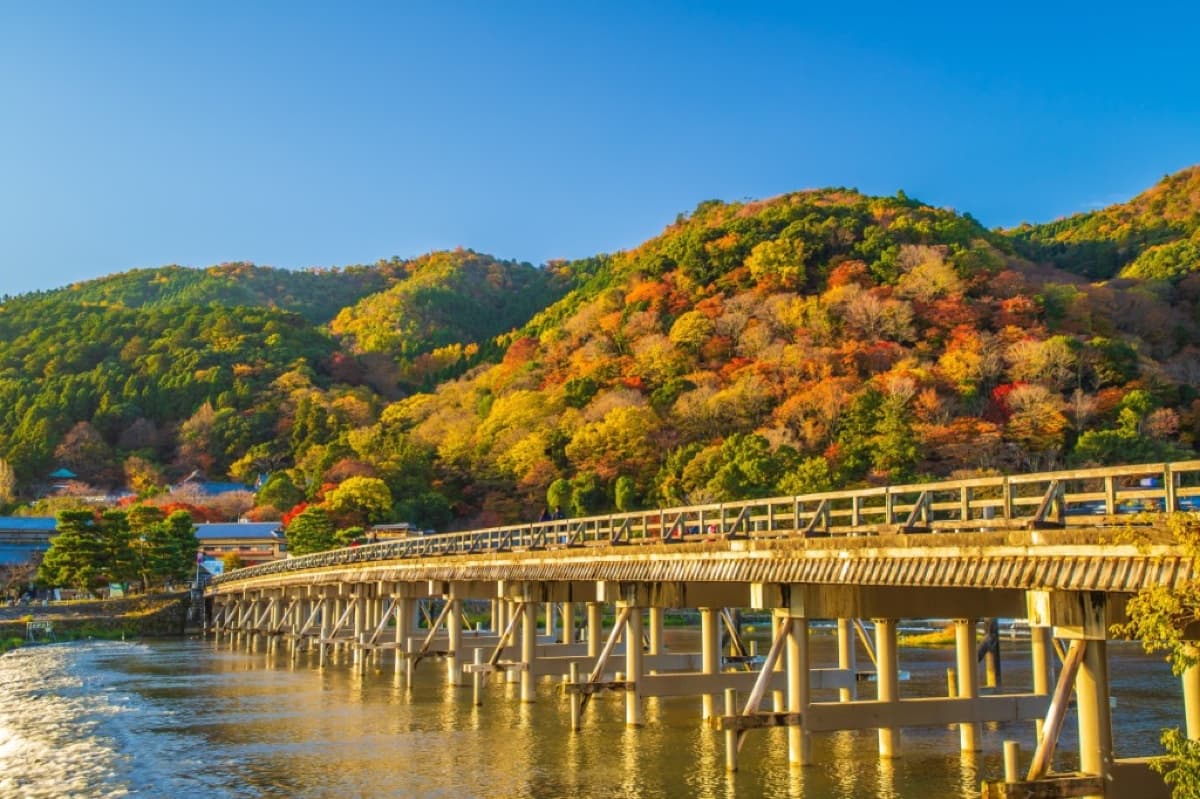 Red and gold autumn maples along a temple path in Kyoto at peak koyo