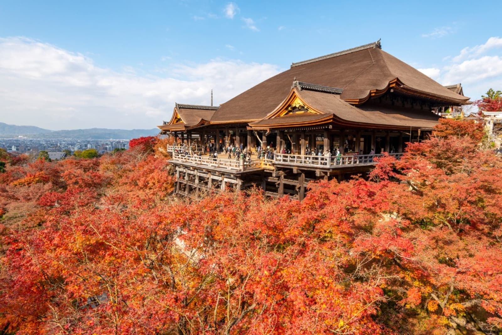 Best Places to See Autumn Leaves in Japan: A Self-Guided Traveler's Guide for 2026