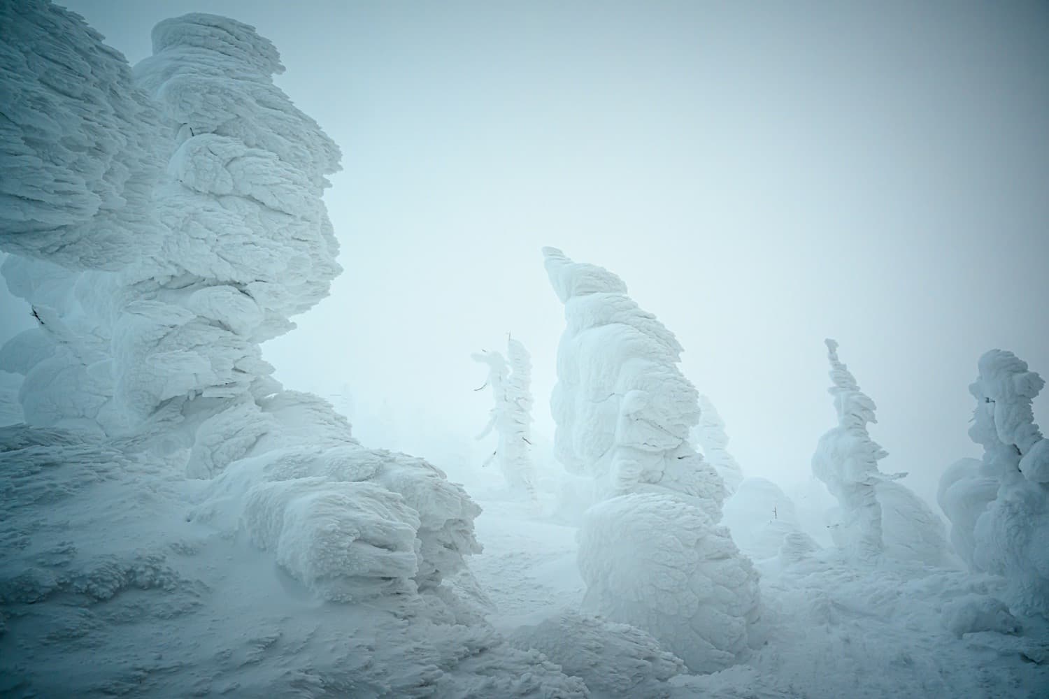 Japan in January: A Practical Guide to Weather, Snow, and Self-Guided Travel