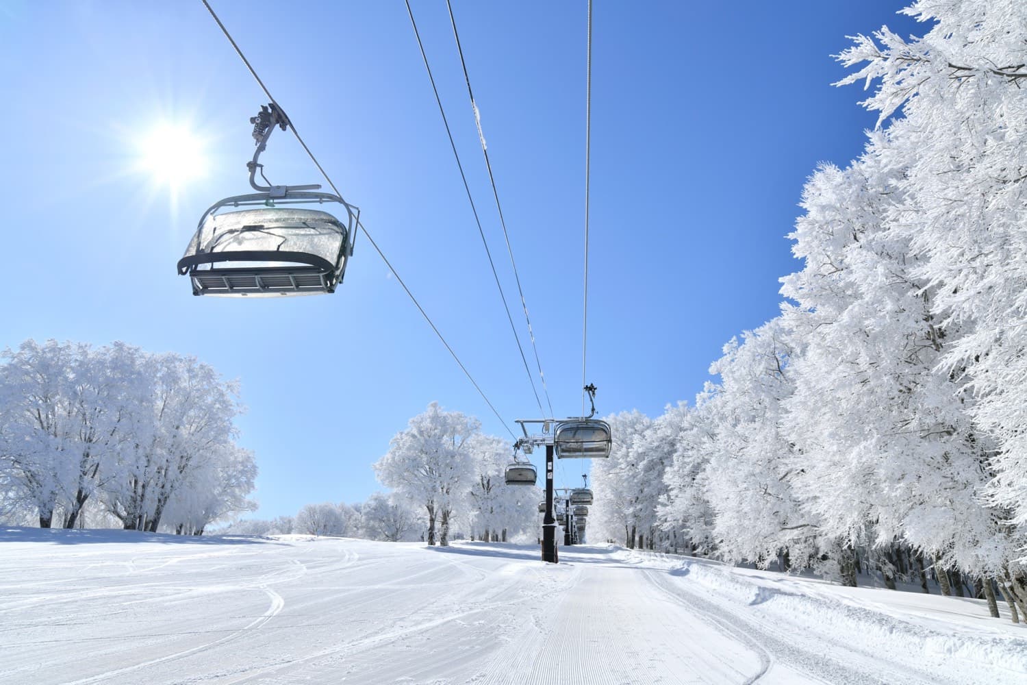 Japan in January: A Practical Guide to Weather, Snow, and Self-Guided Travel