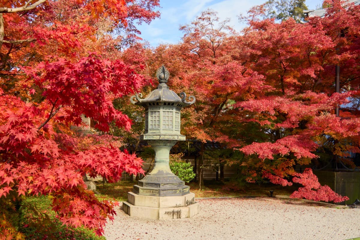 A stone lantern beneath red and orange maple branches in the temple garden of Eikando in Kyoto during the autumn foliage season