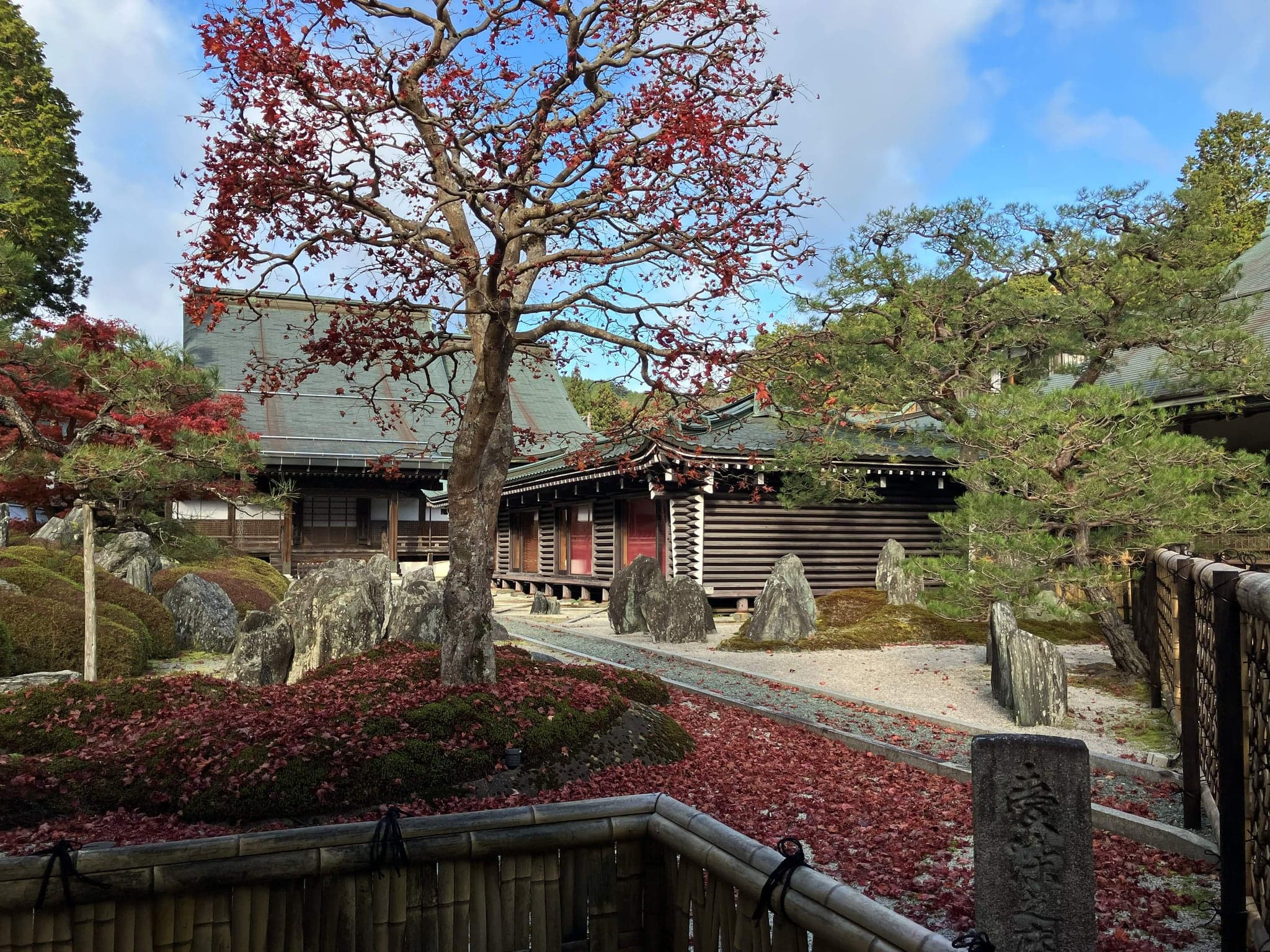 Rock garden at Fukuchi-in on Koyasan with upright stones, raked gravel and a maple dropping red leaves over moss