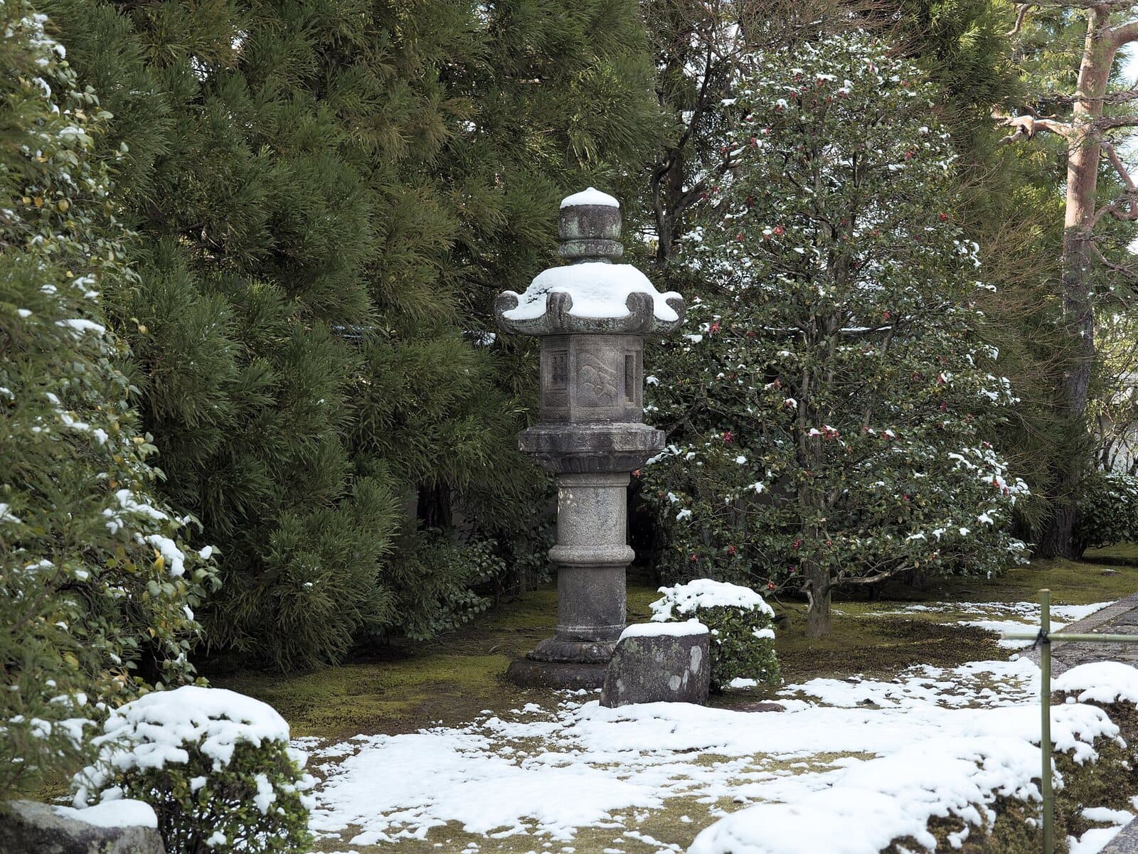A stone lantern and camellia bushes dusted with snow in the moss garden of Ryogen-in at Daitoku-ji