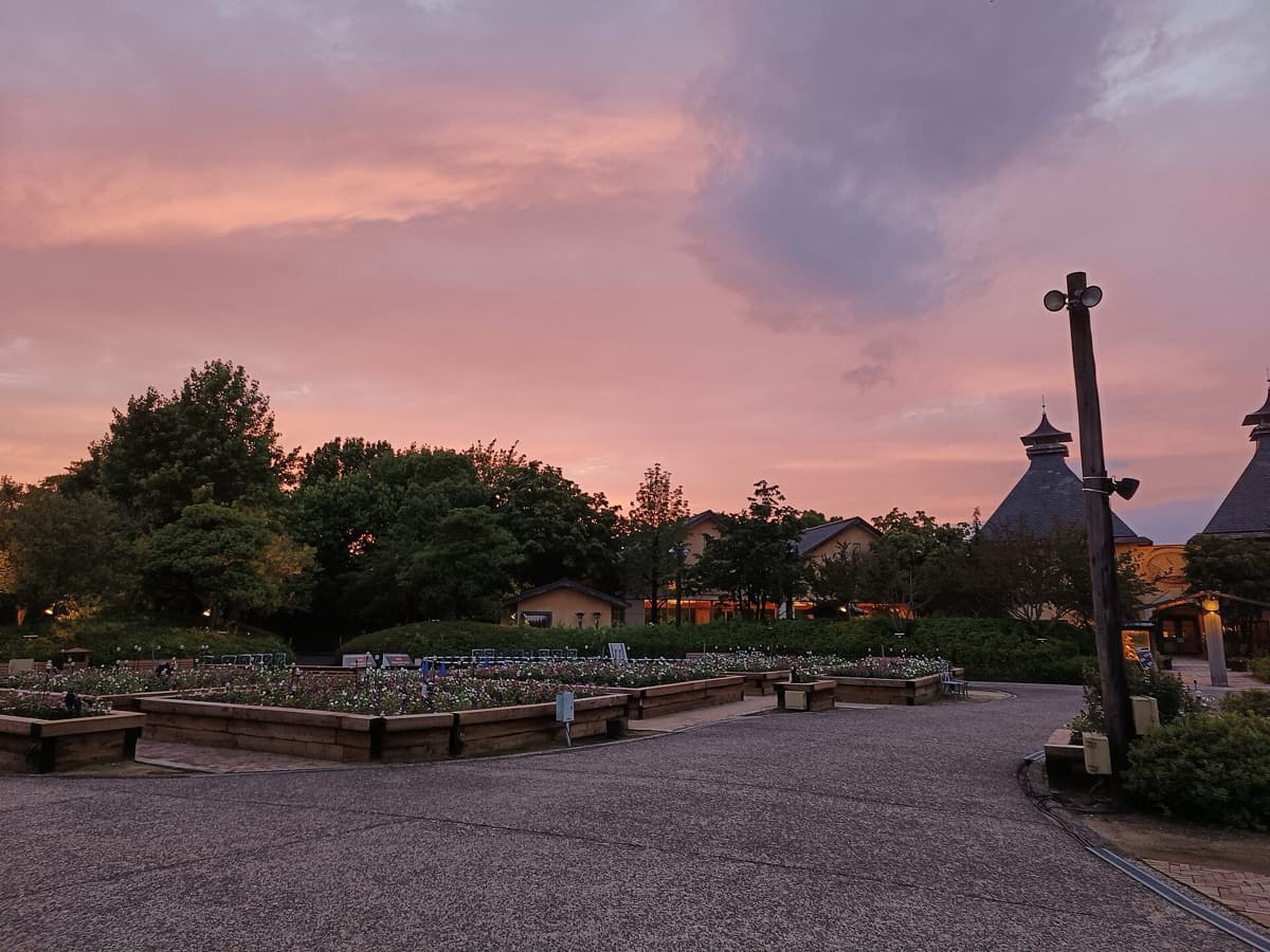 Paths and flower beds in the Nabana no Sato grounds under a pink sunset sky, with green trees and a lamp post