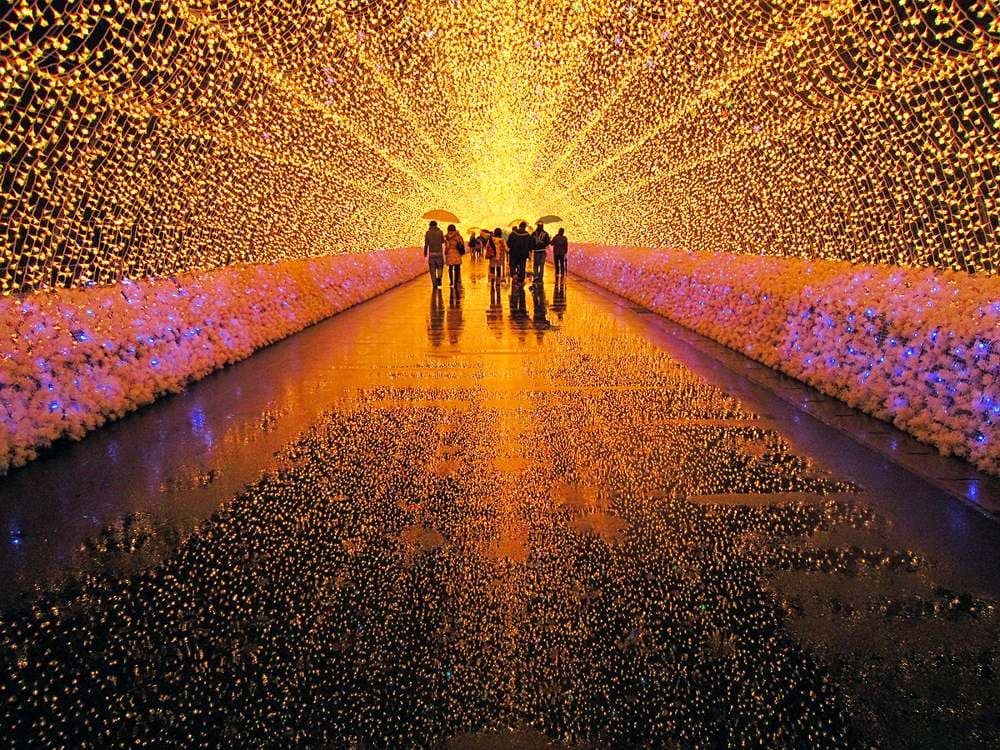 Visitors walking through the golden 200-meter tunnel of light at Nabana no Sato, its floor reflecting the lights