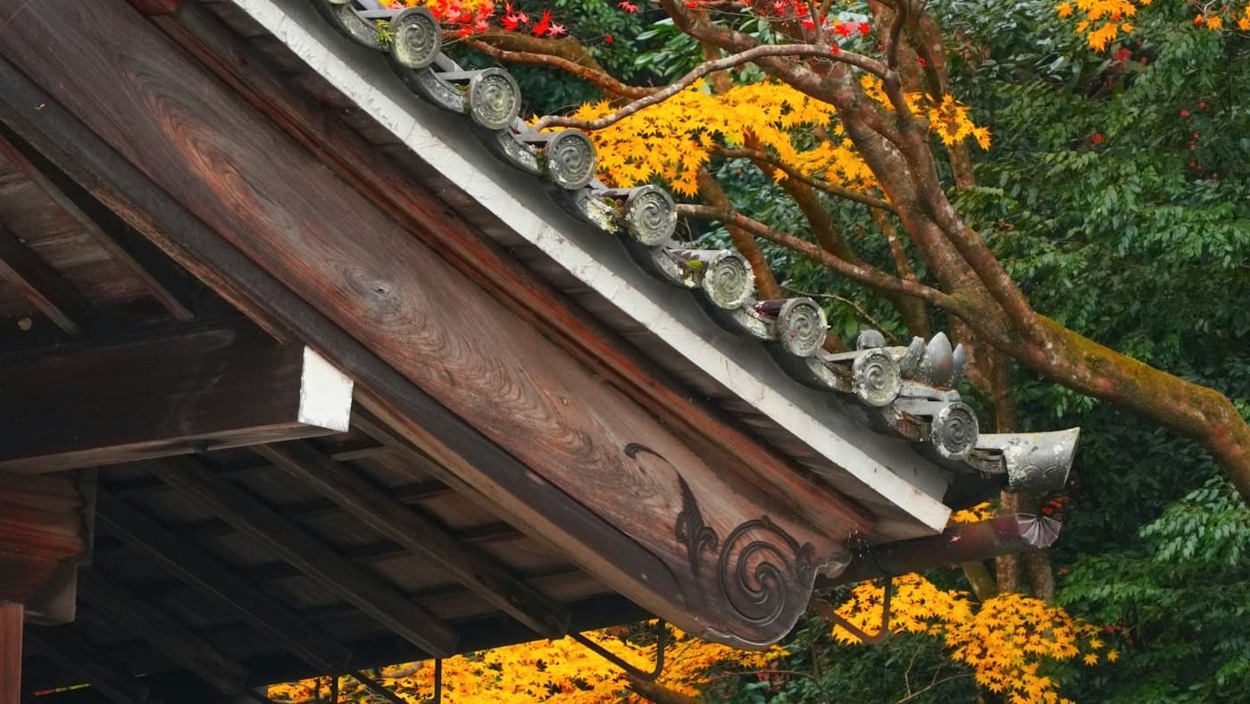 Osaka Autumn Leaves 2026: Peak Dates, Minoo Park & Why It Beats Kyoto as a Base