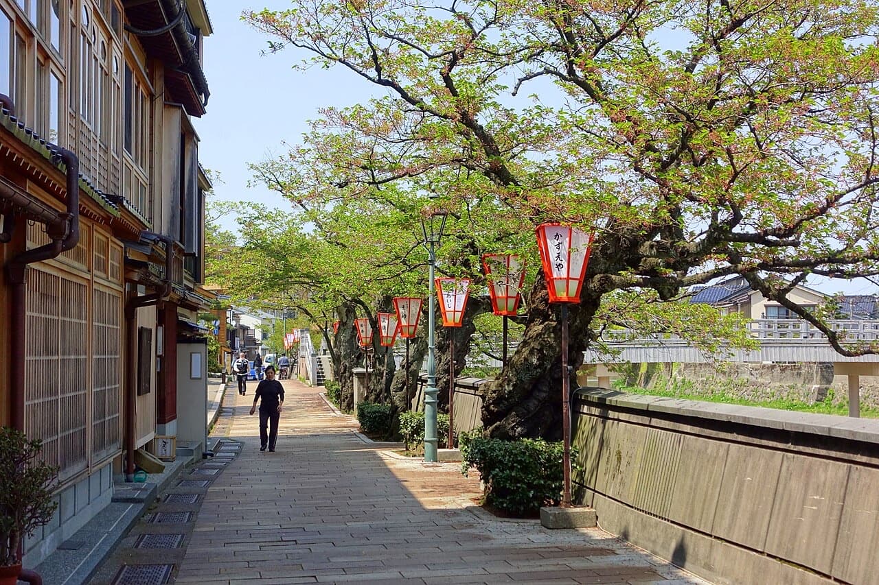 Wooden teahouses and red lanterns along the Asano River in Kazuemachi under spring trees