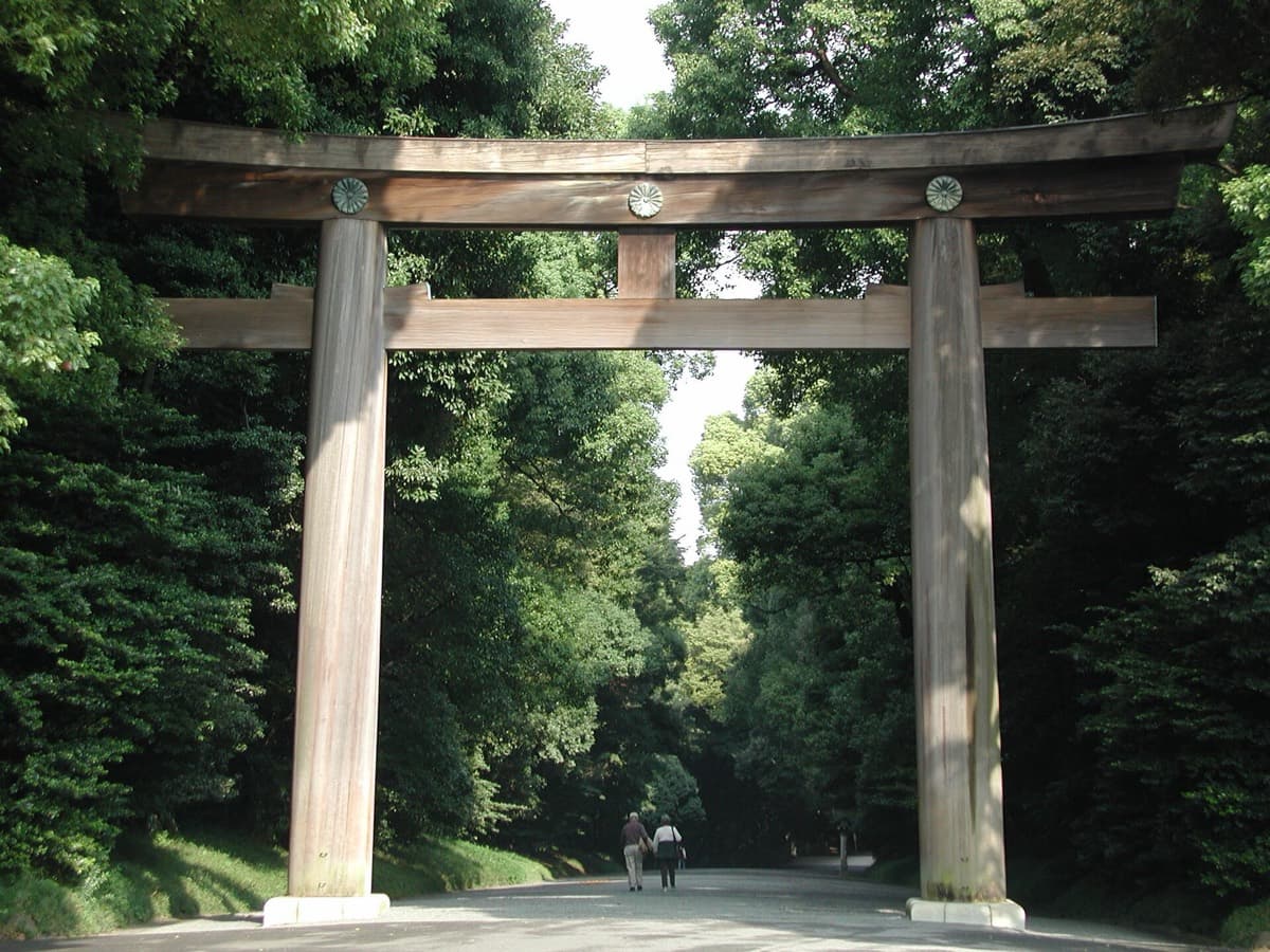 A tall wooden torii gate over a wide gravel path through dense forest at Meiji Jingu