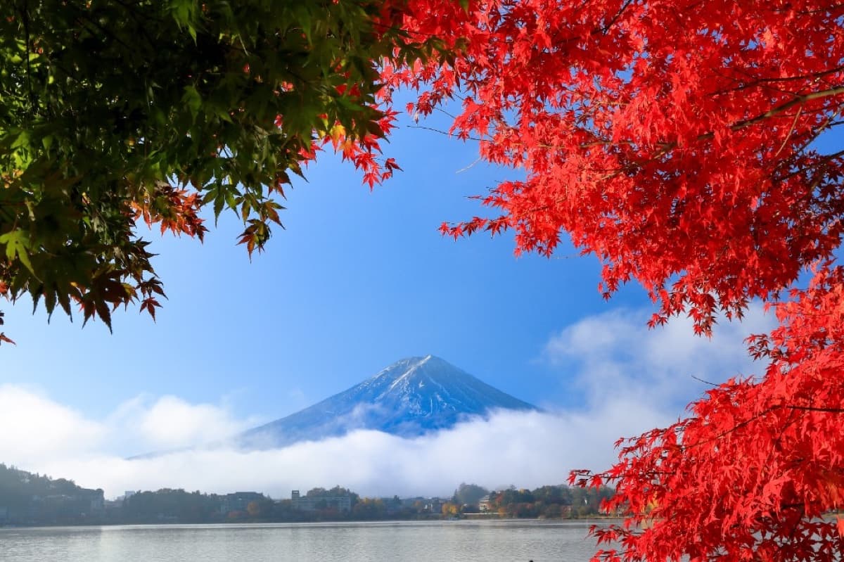 Autumn maple leaves framing Mount Fuji across Lake Kawaguchi in November