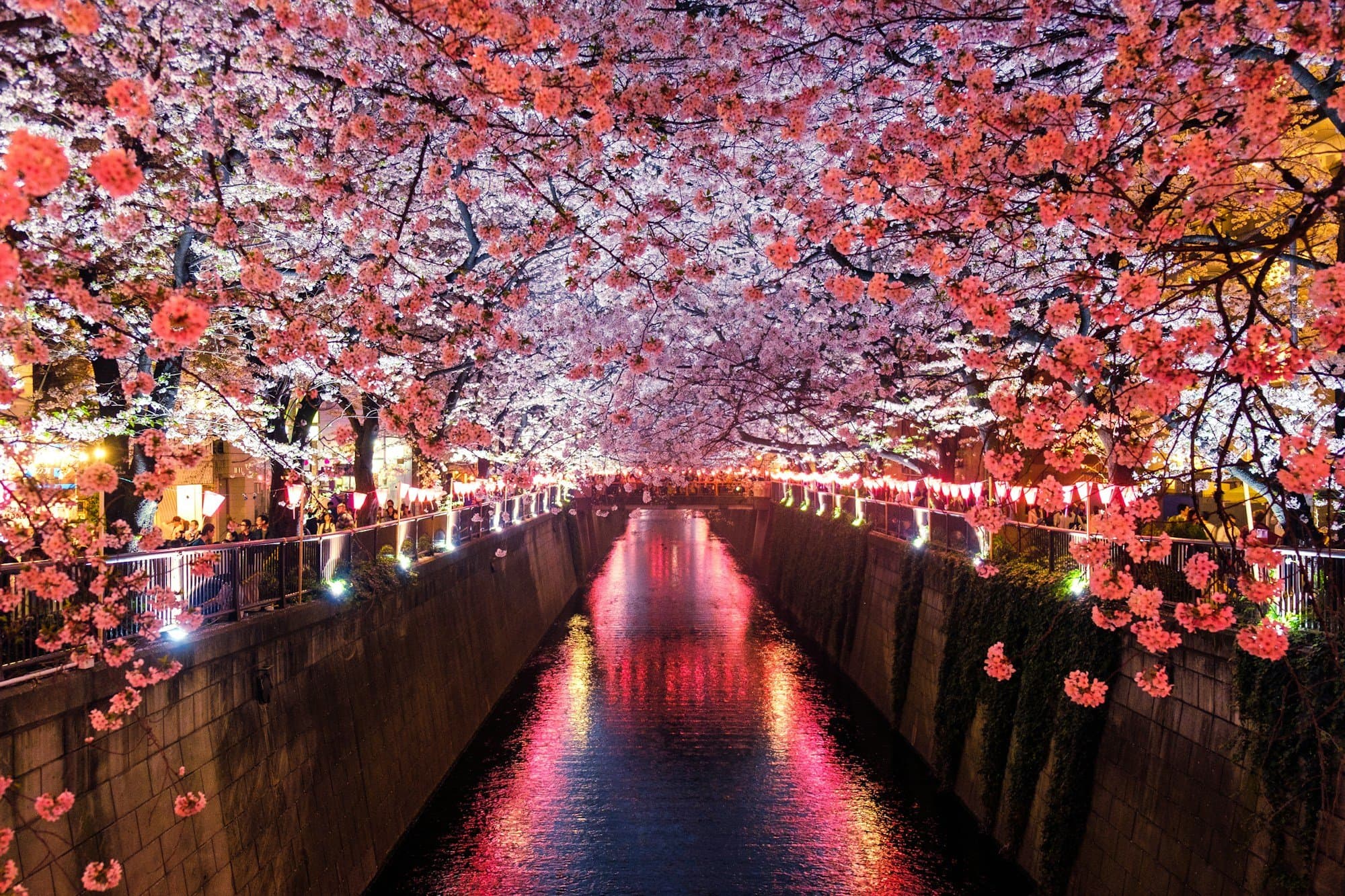Billets en yens japonais posés pour préparer un budget de voyage