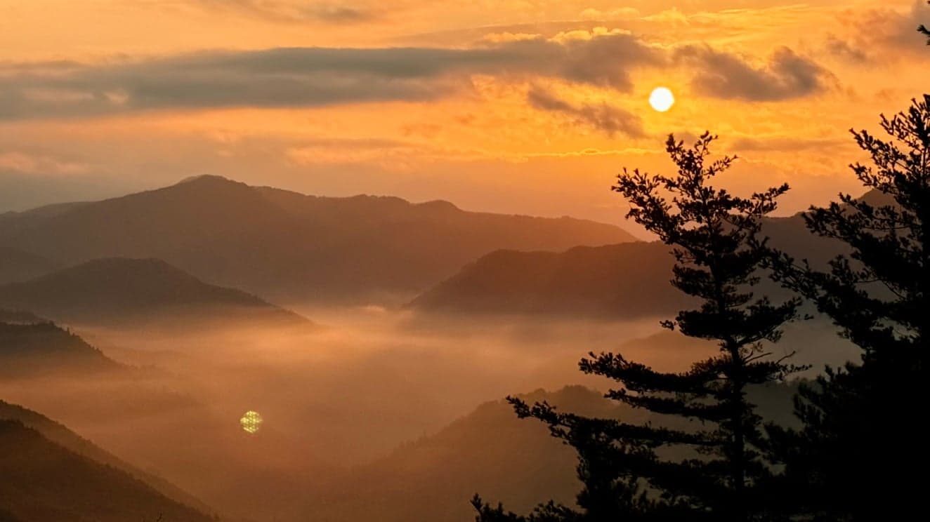 Sunrise over a sea of clouds filling the valleys of the Kii mountains, with silhouetted ridges and pines