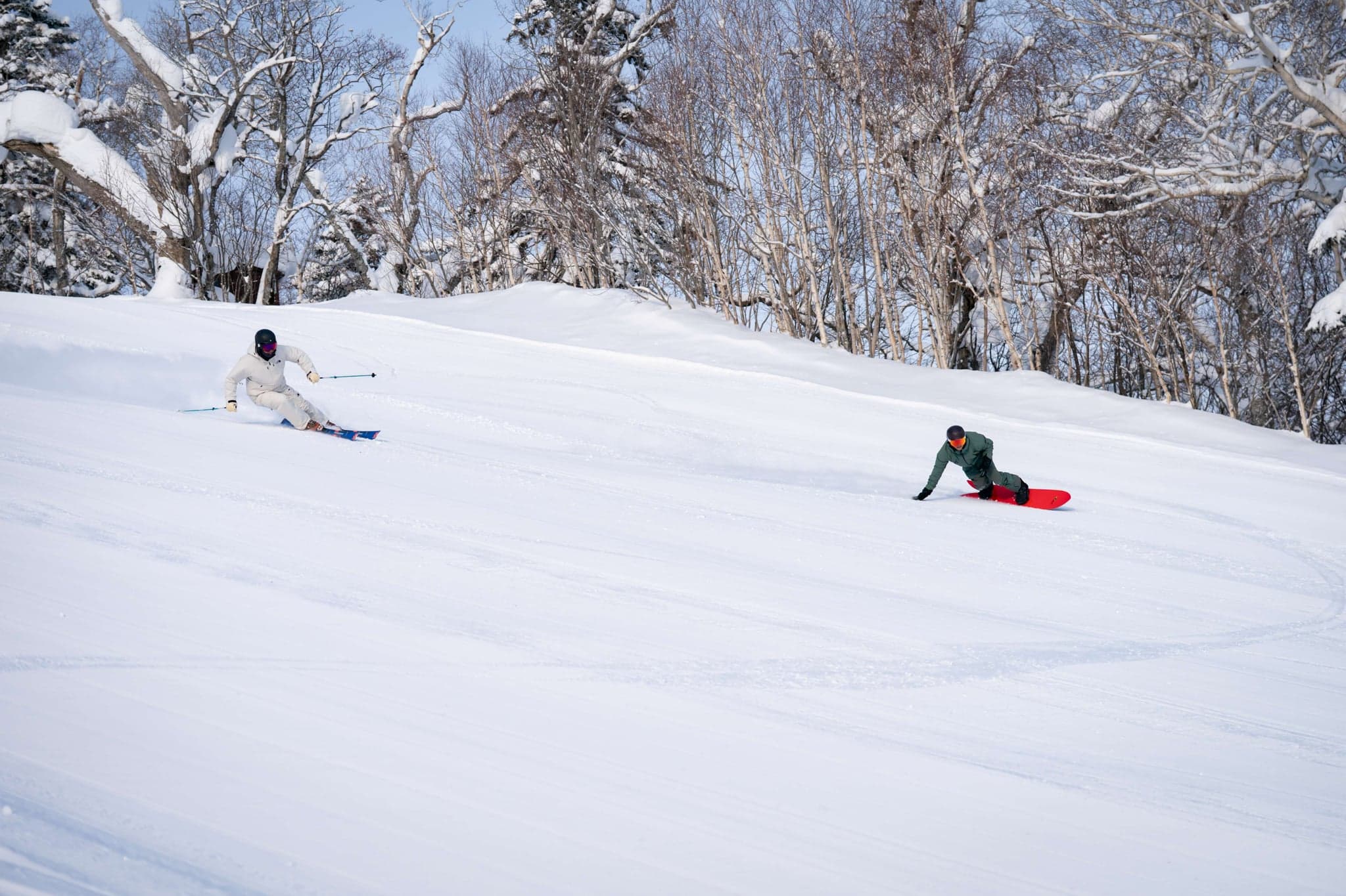 A skier and a snowboarder carving through fresh powder among snowy birch trees at Furano