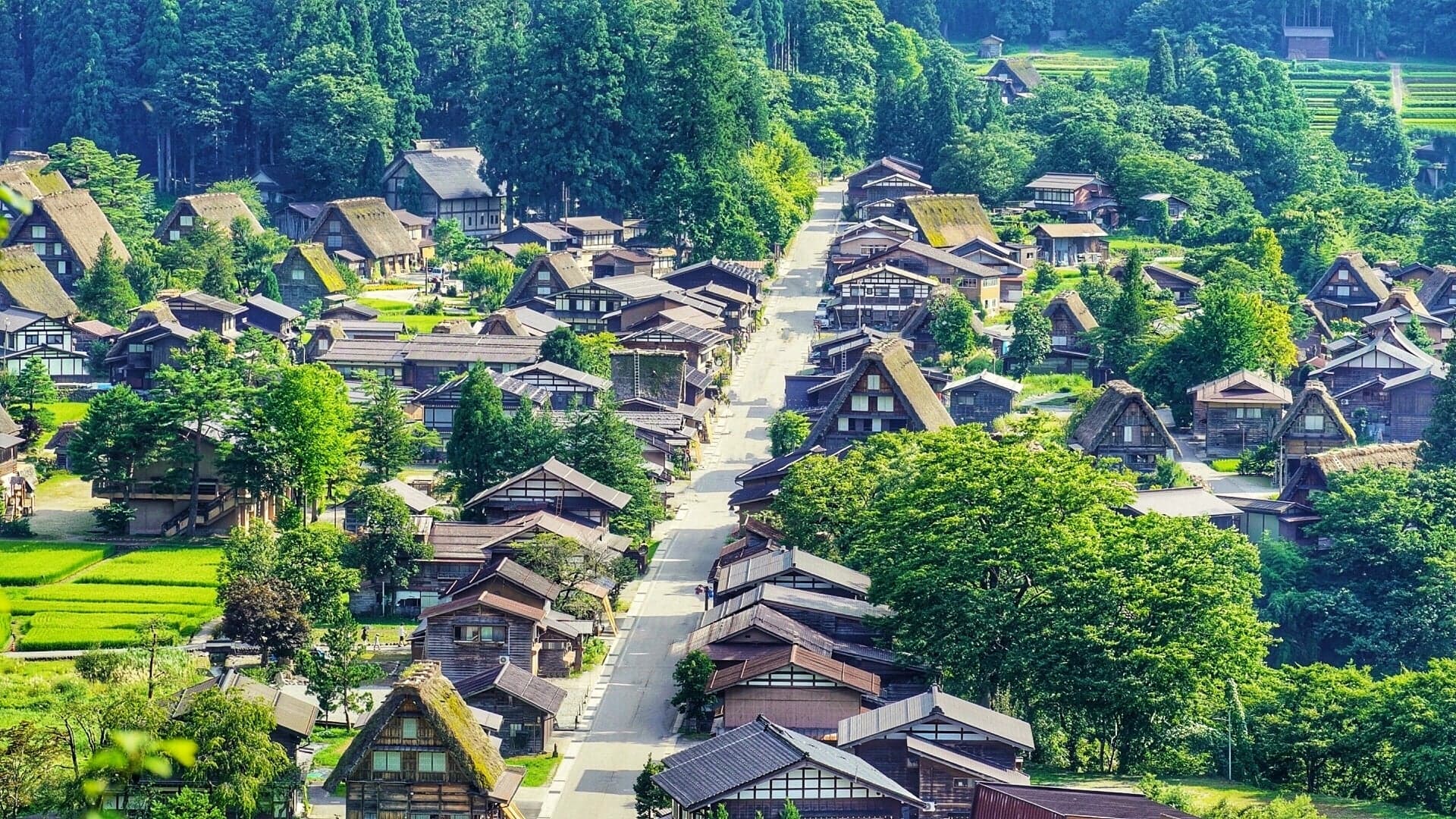 Shirakawago (Shirakawa-go) Guide: Getting There, the 2027 Winter Light-Up and What to See