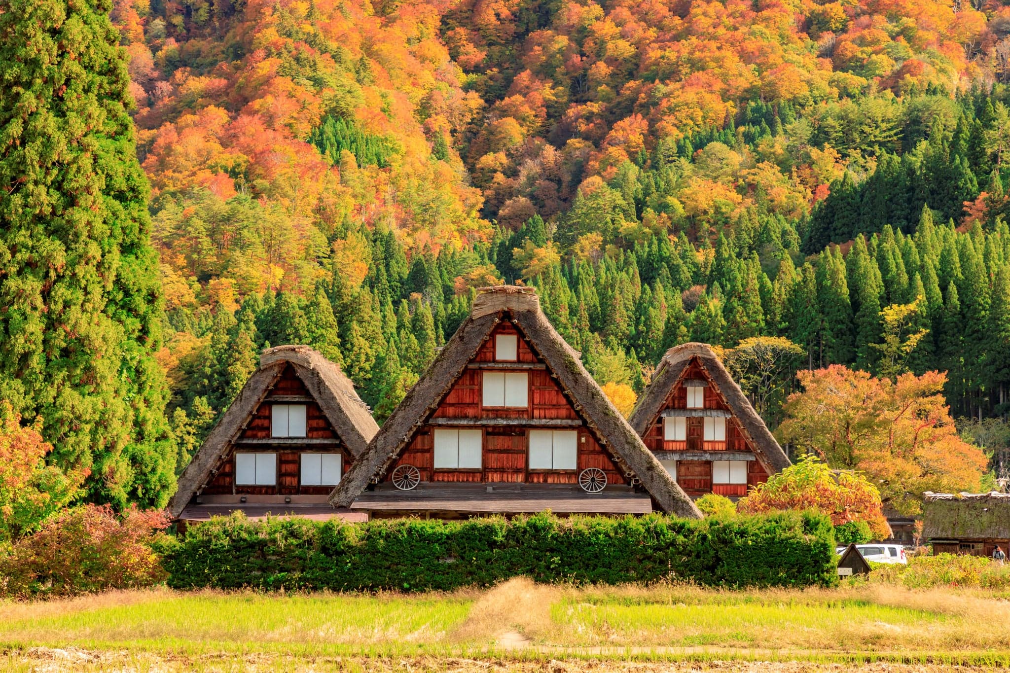 Les maisons gassho de Shirakawa-go devant les collines aux couleurs d'automne