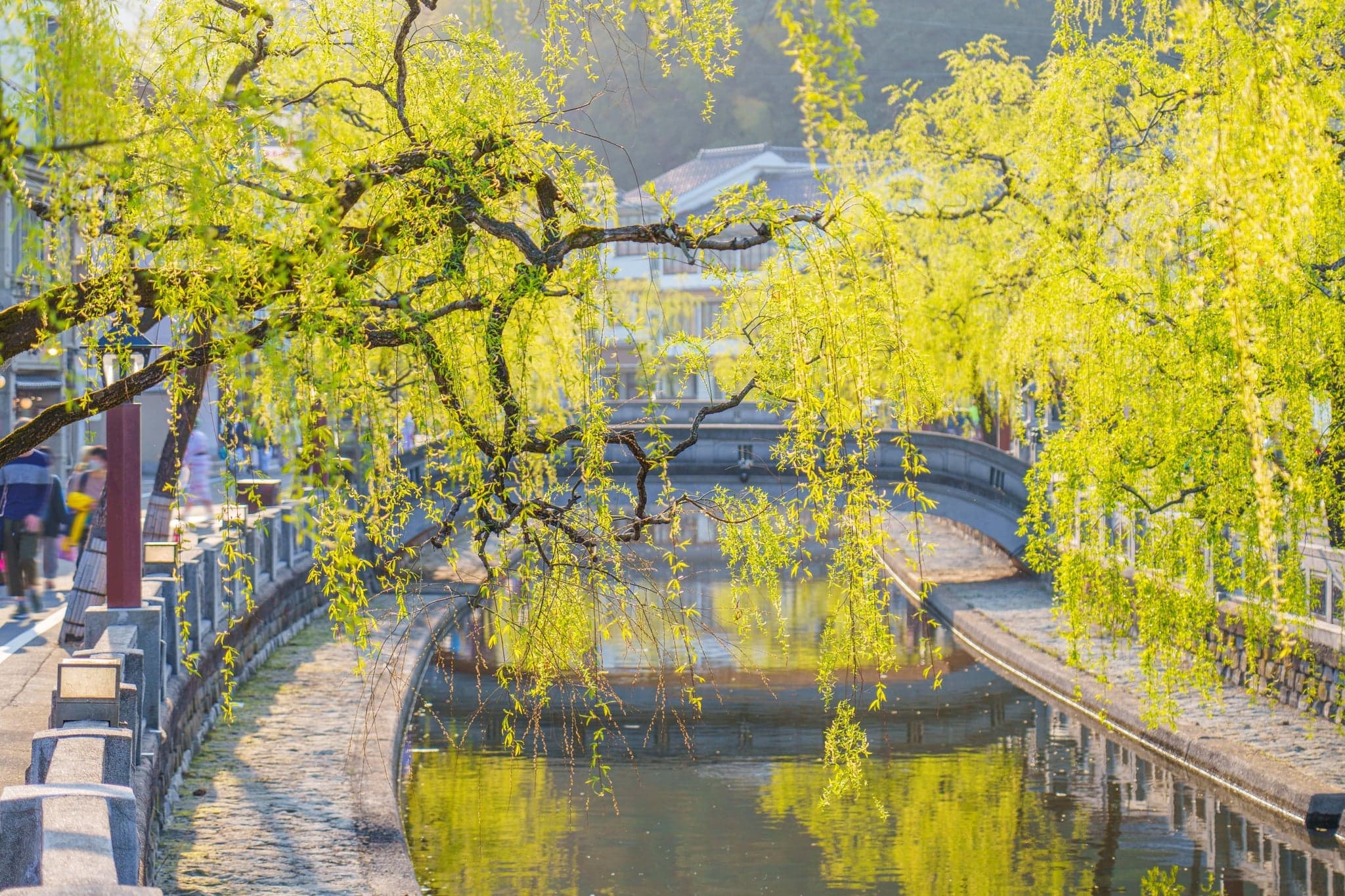 Ryokan With a Private Onsen: What It Costs, How It Works, and the Rooms We Actually Book