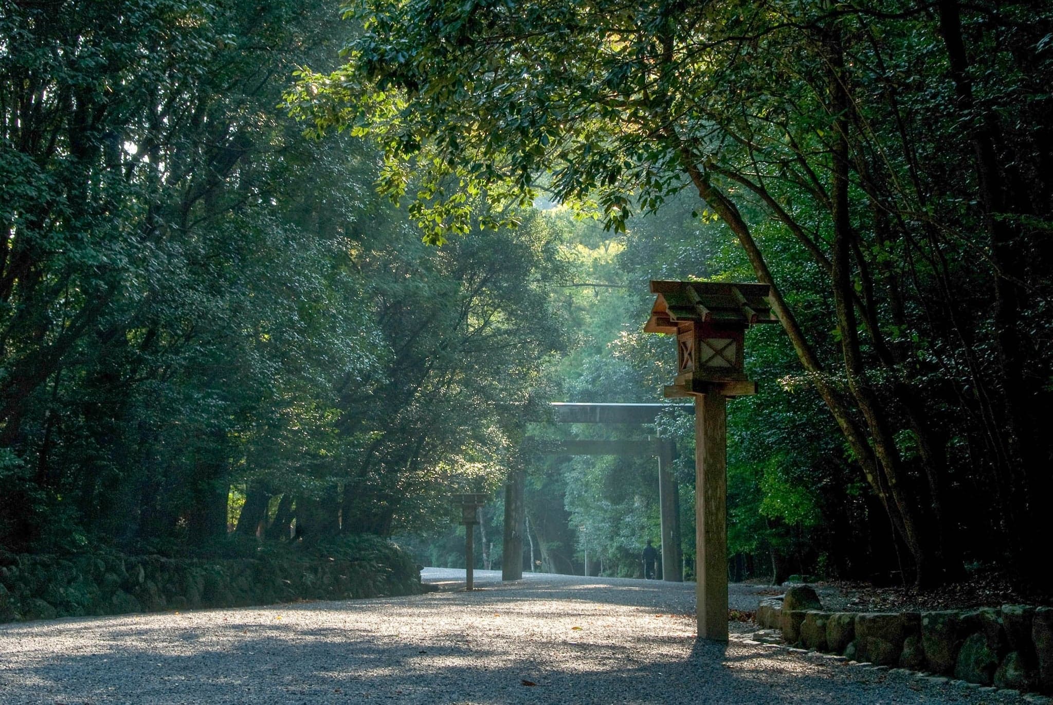 Gravel approach through a sunlit forest to a plain wooden torii at Ise Grand Shrine, with a lantern post in the foreground